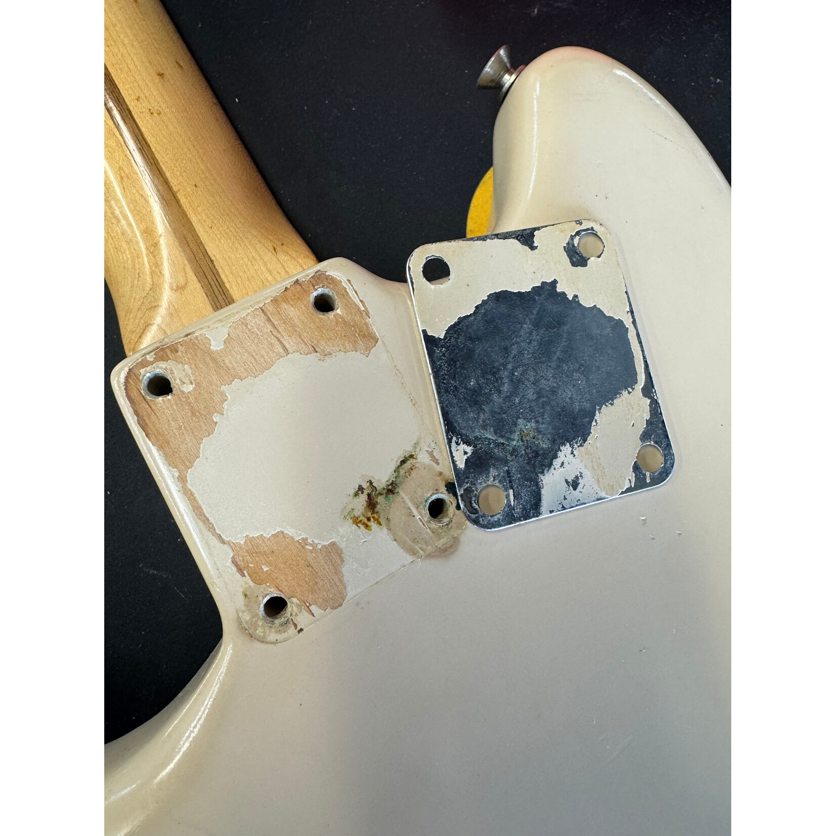 Fender 1956 Fender Musicmaster Desert Tan