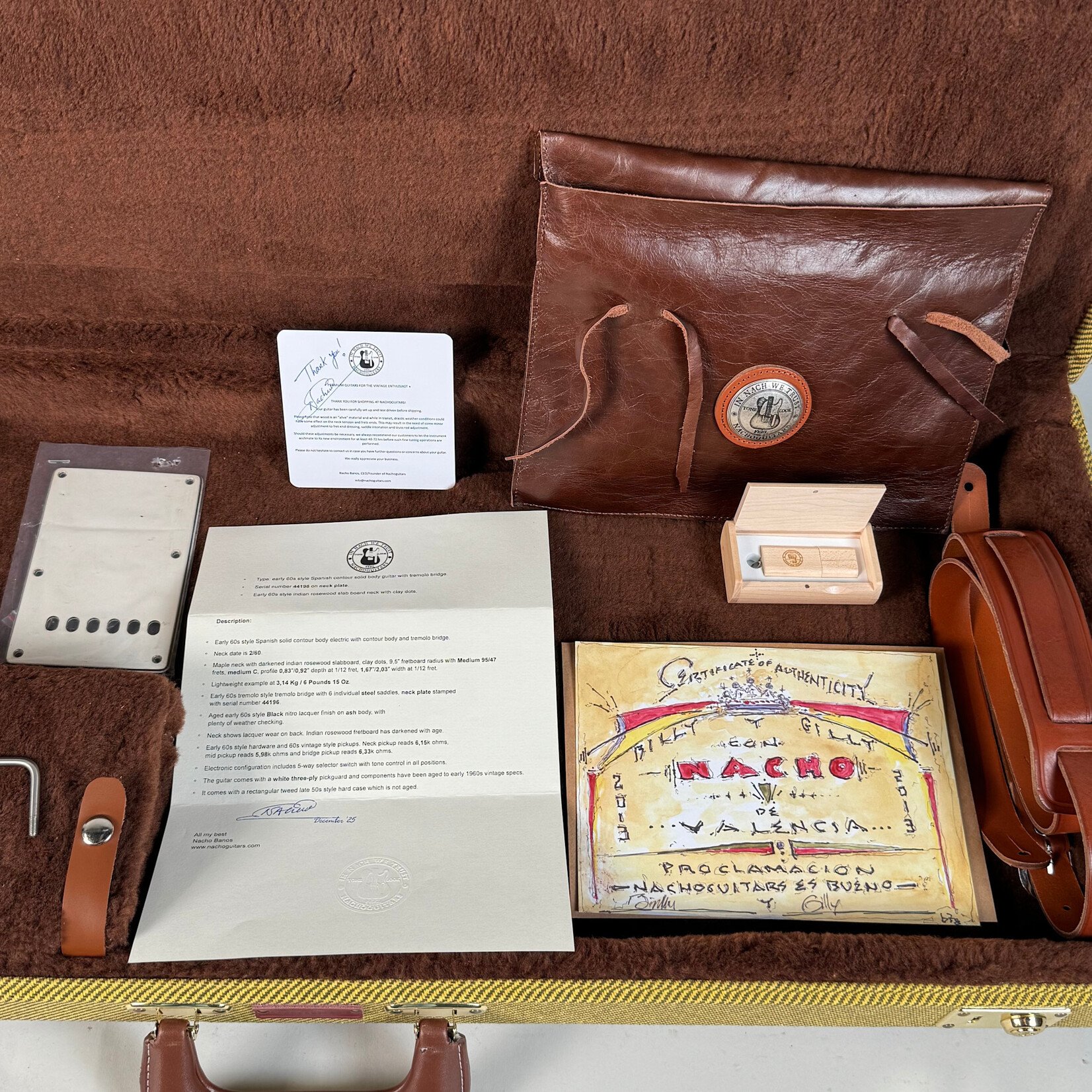 Nacho Guitar 2025 Nacho Guitar Nachocaster Aged Black