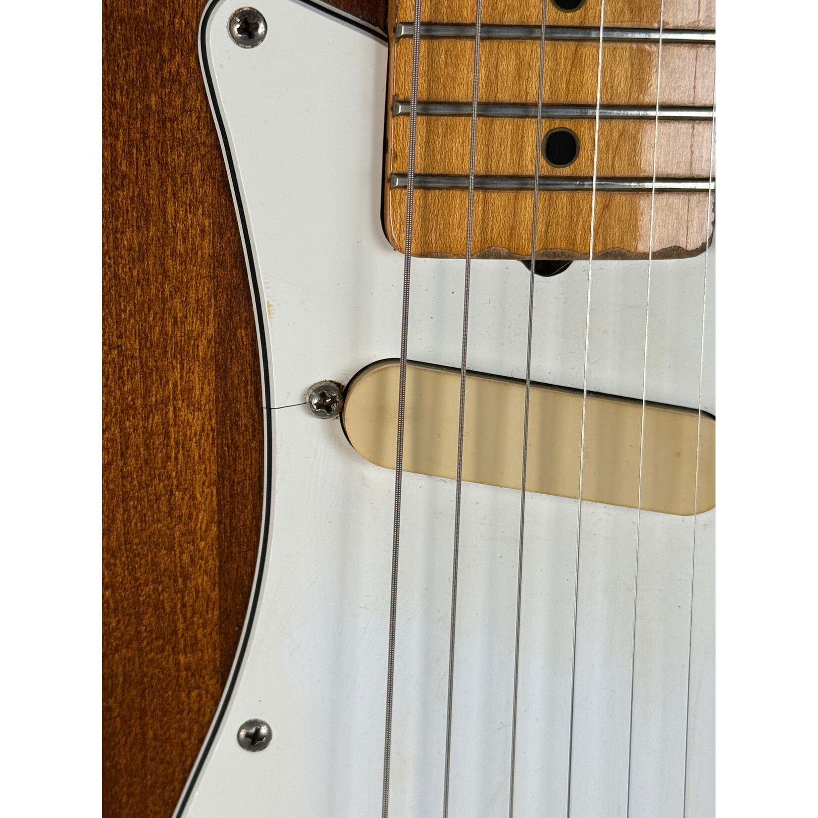 Fender 1981 Fender Bullet Walnut