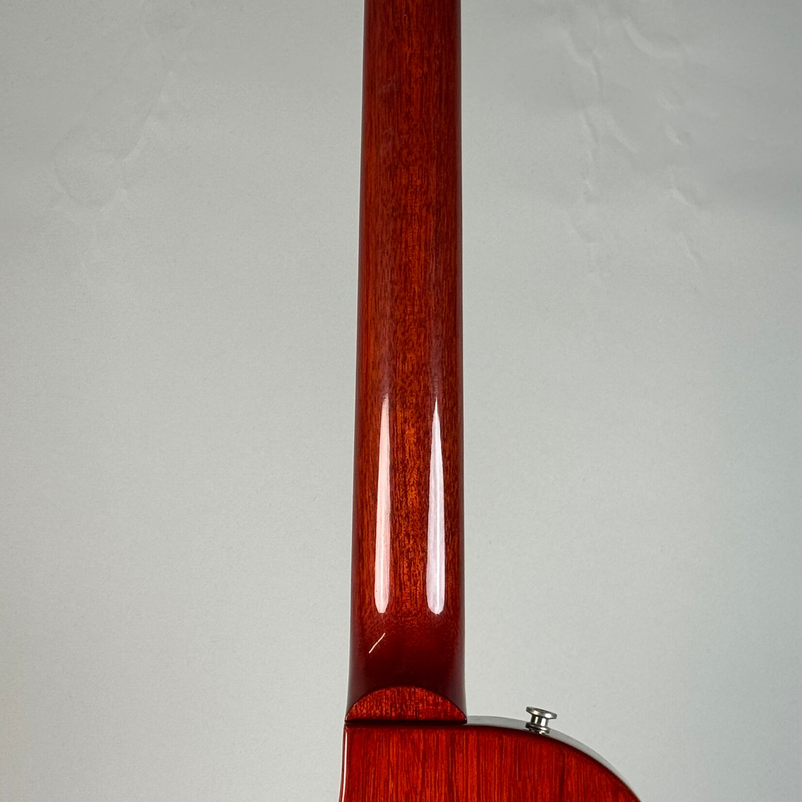 Gibson 2019 Gibson Les Paul Standard