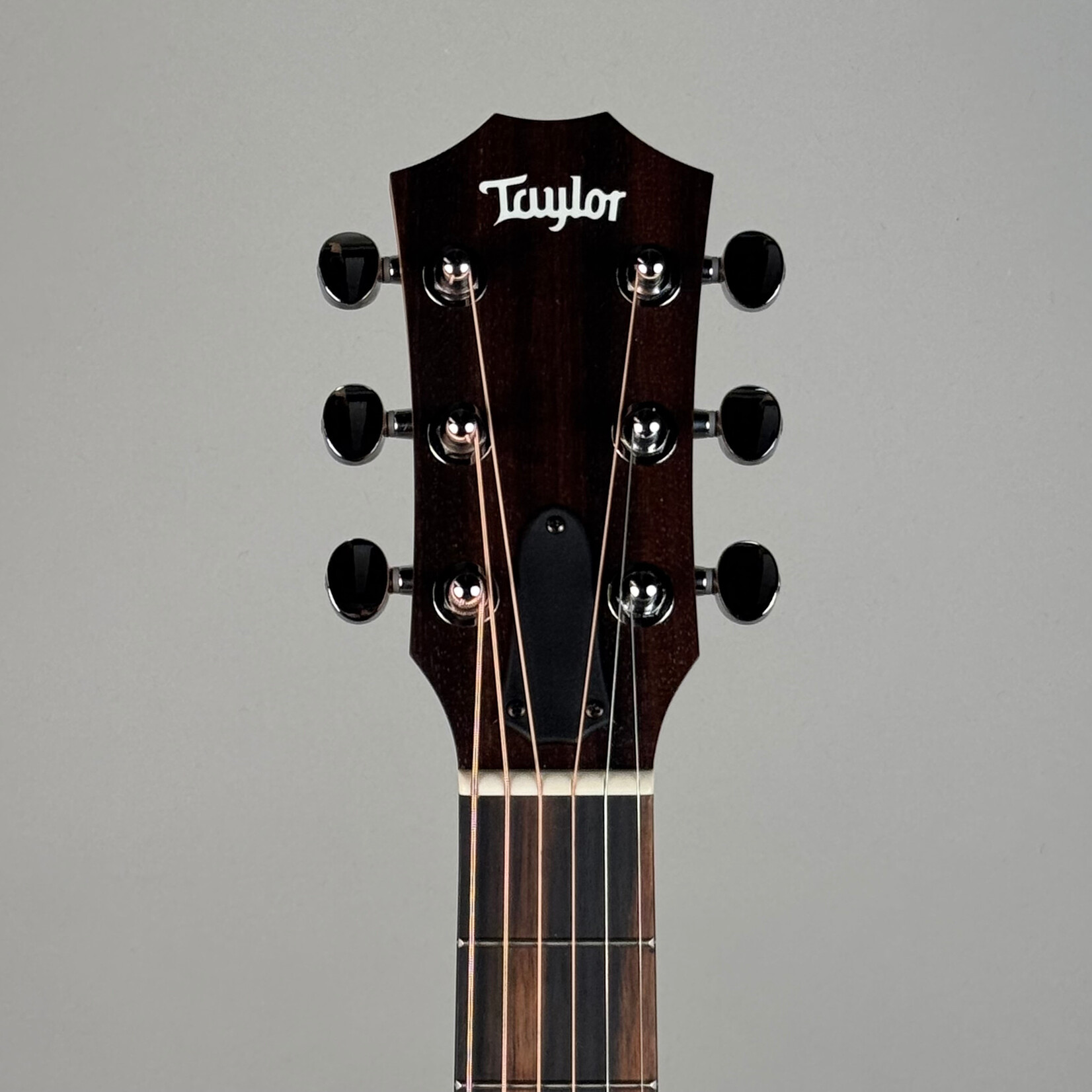 Taylor 2023 Taylor GS Mini-e Mahogany