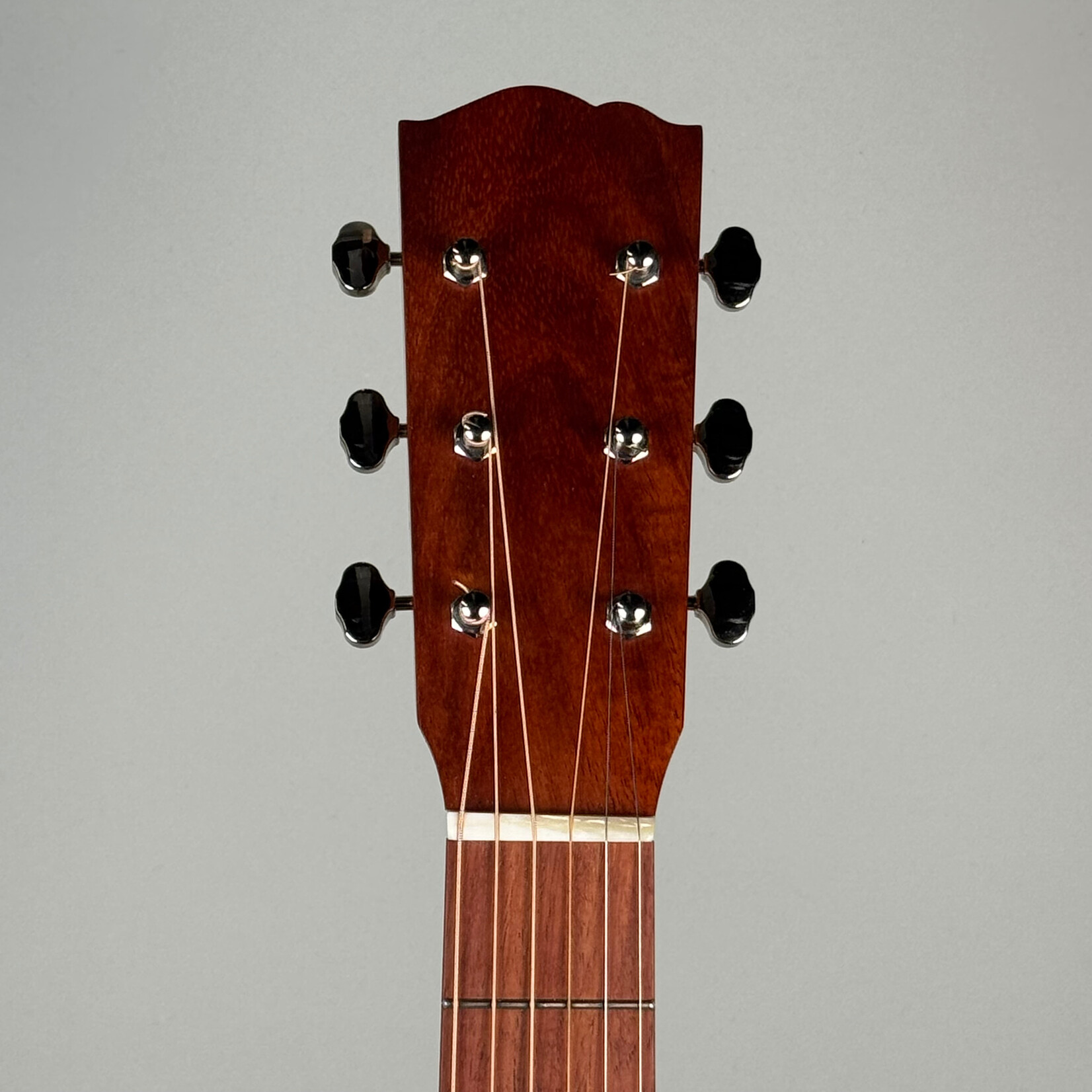 Gerald Curry Gerald Curry Black Locust