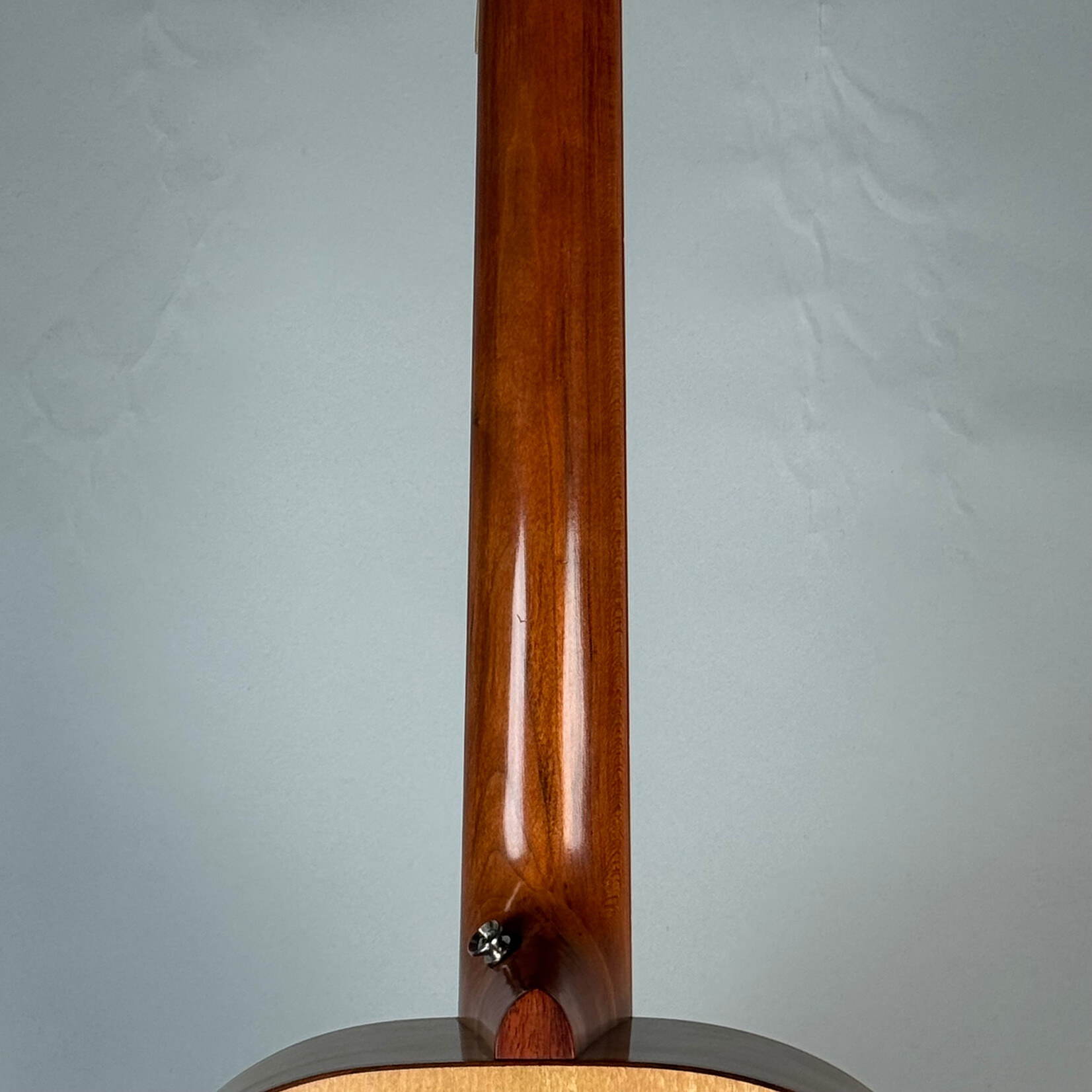 Gerald Curry Gerald Curry Black Locust