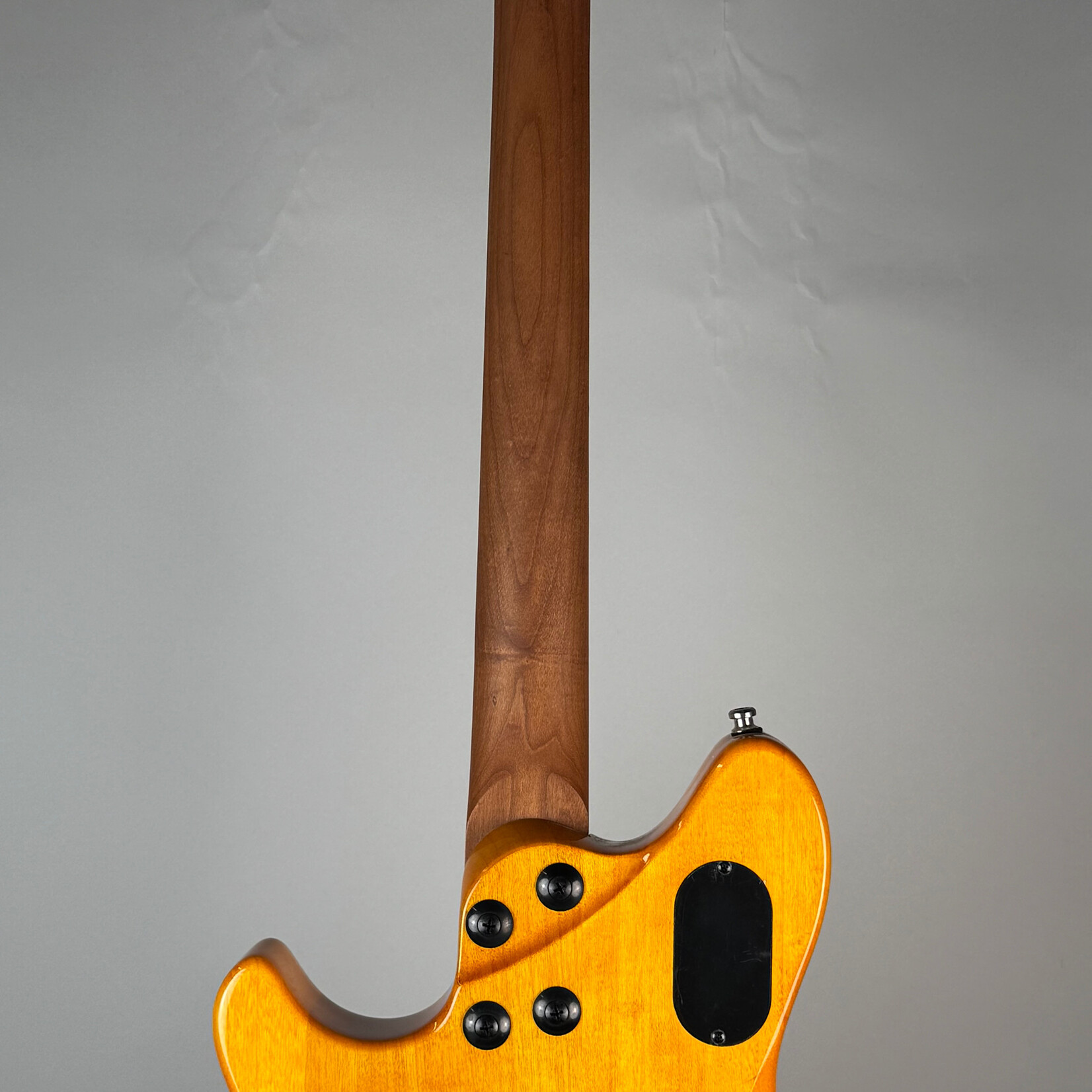 EVH EVH Wolfgang Standard WG QM Baked