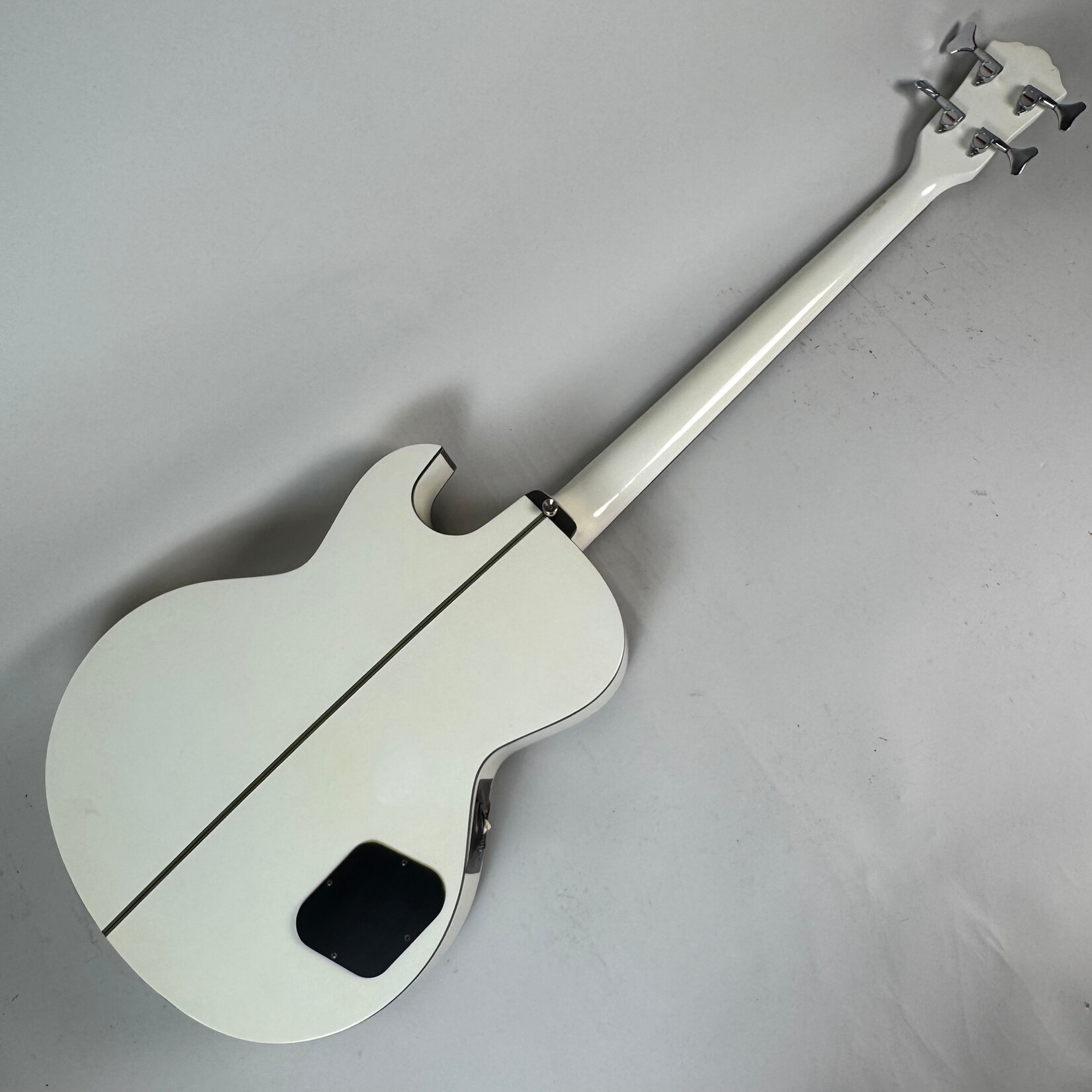 Washburn Washburn AB20 White W/ Case