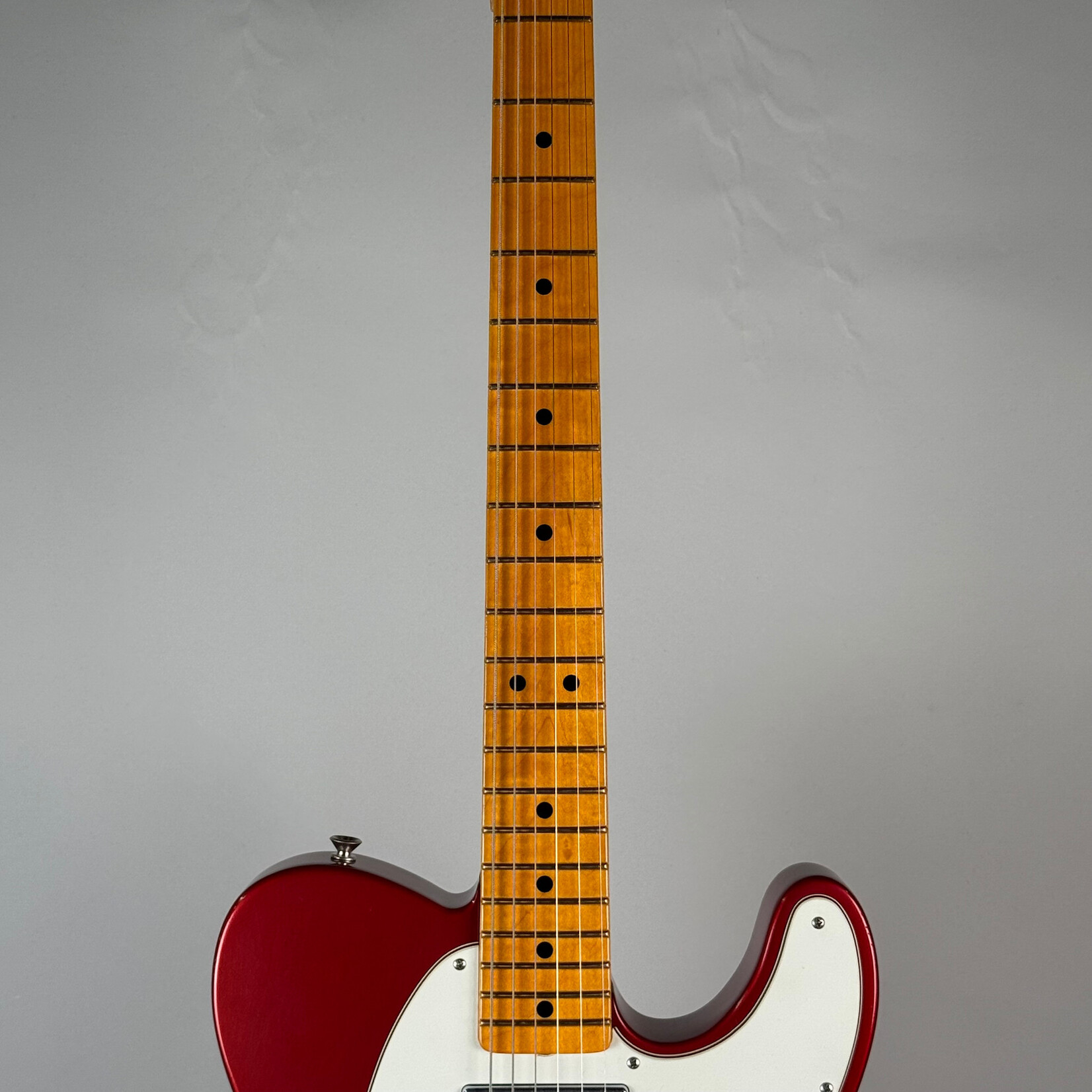 Fender Fender Red Dog Mike Campbell Signature Telecaster