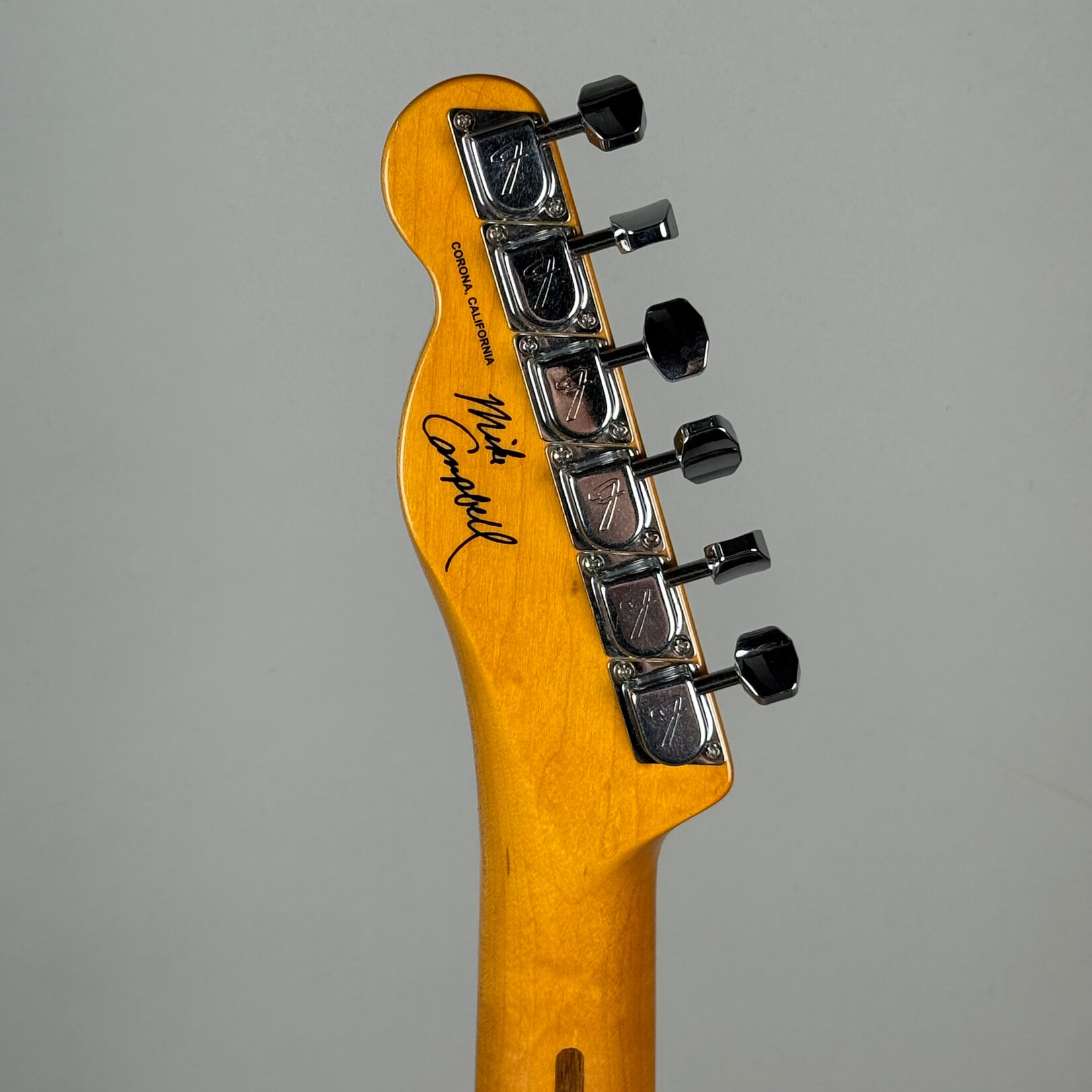 Fender Fender Red Dog Mike Campbell Signature Telecaster
