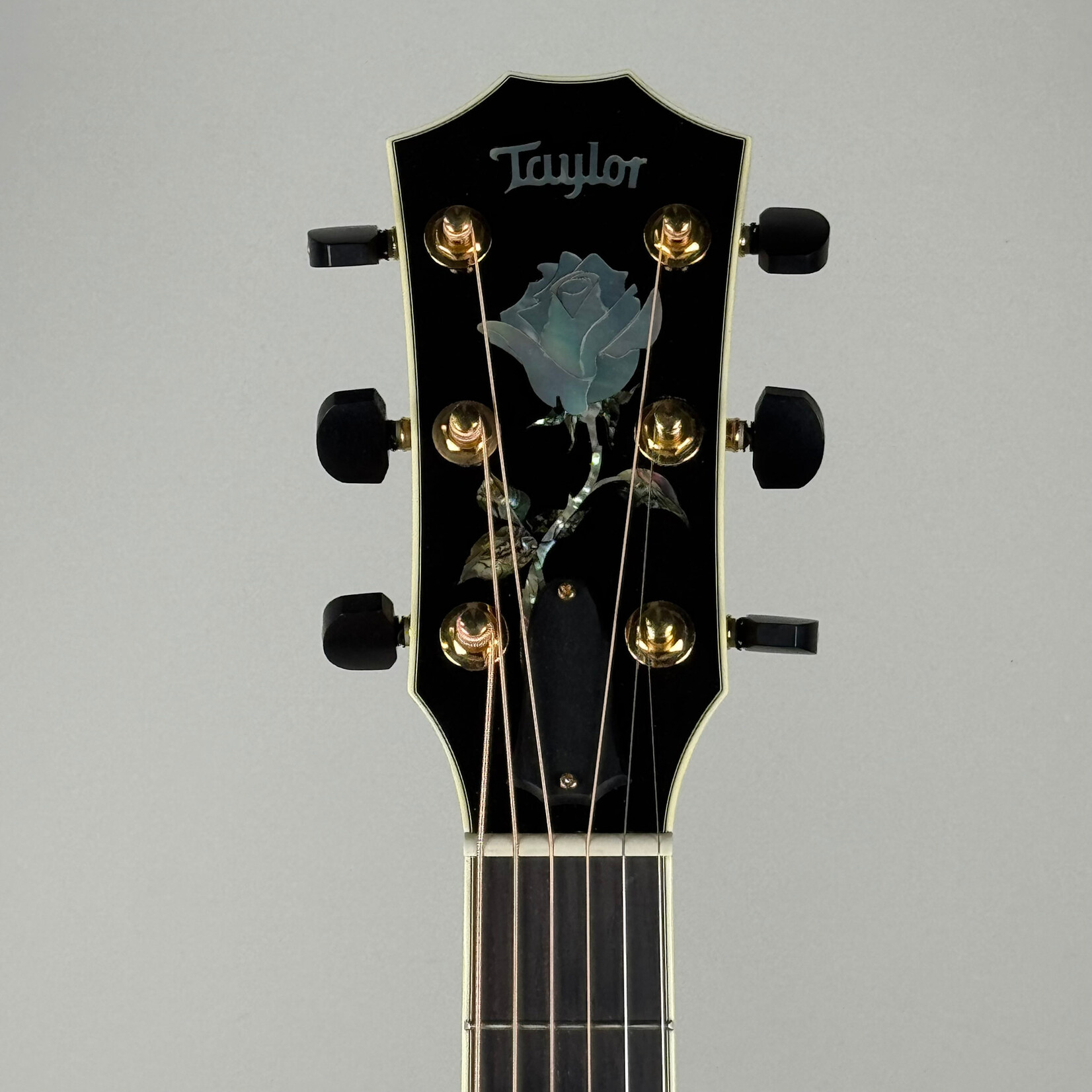 Taylor 2002 Taylor Doyle Dykes DDSM