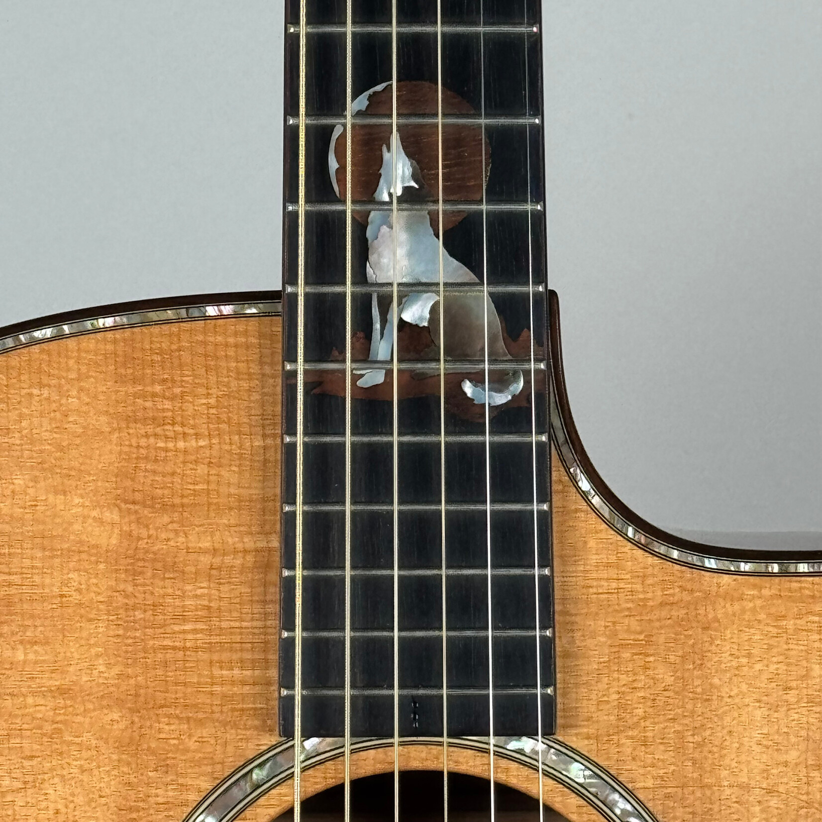 Taylor 2005 Taylor Jumbo Custom Bearclaw Sitka/Mahogany