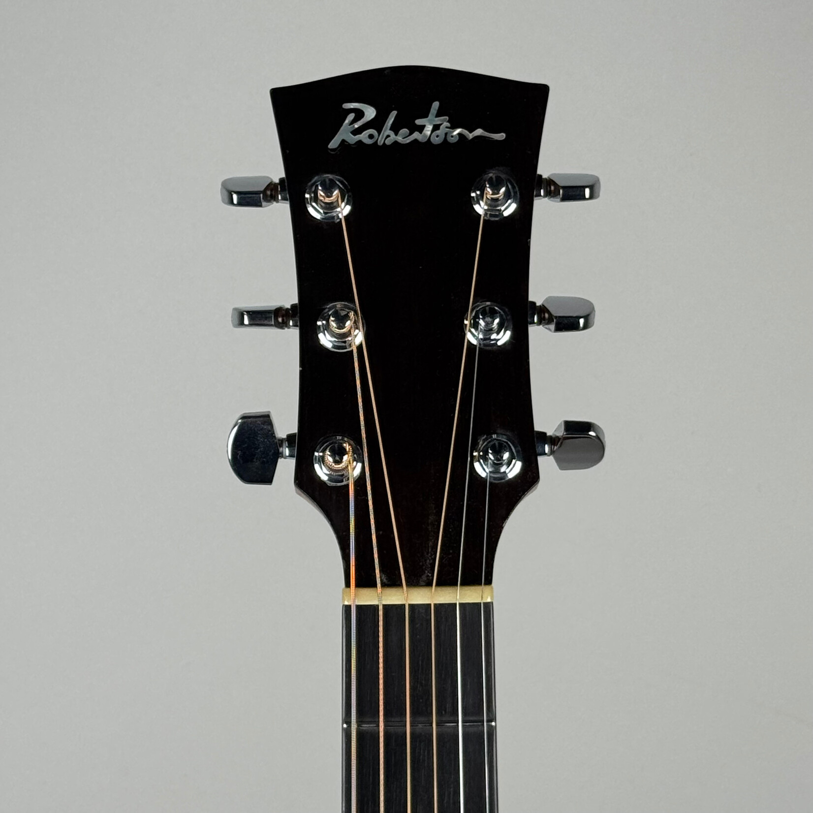 Robertson SJ-CZOW W/ L.R. Baggs Pickup