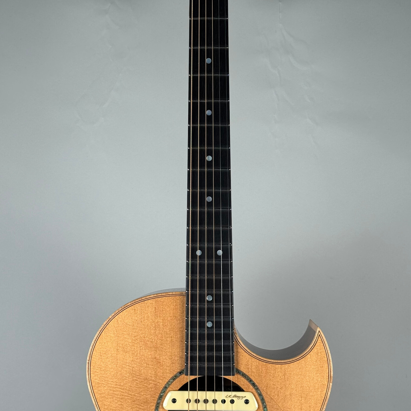 Robertson SJ-CZOW W/ L.R. Baggs Pickup
