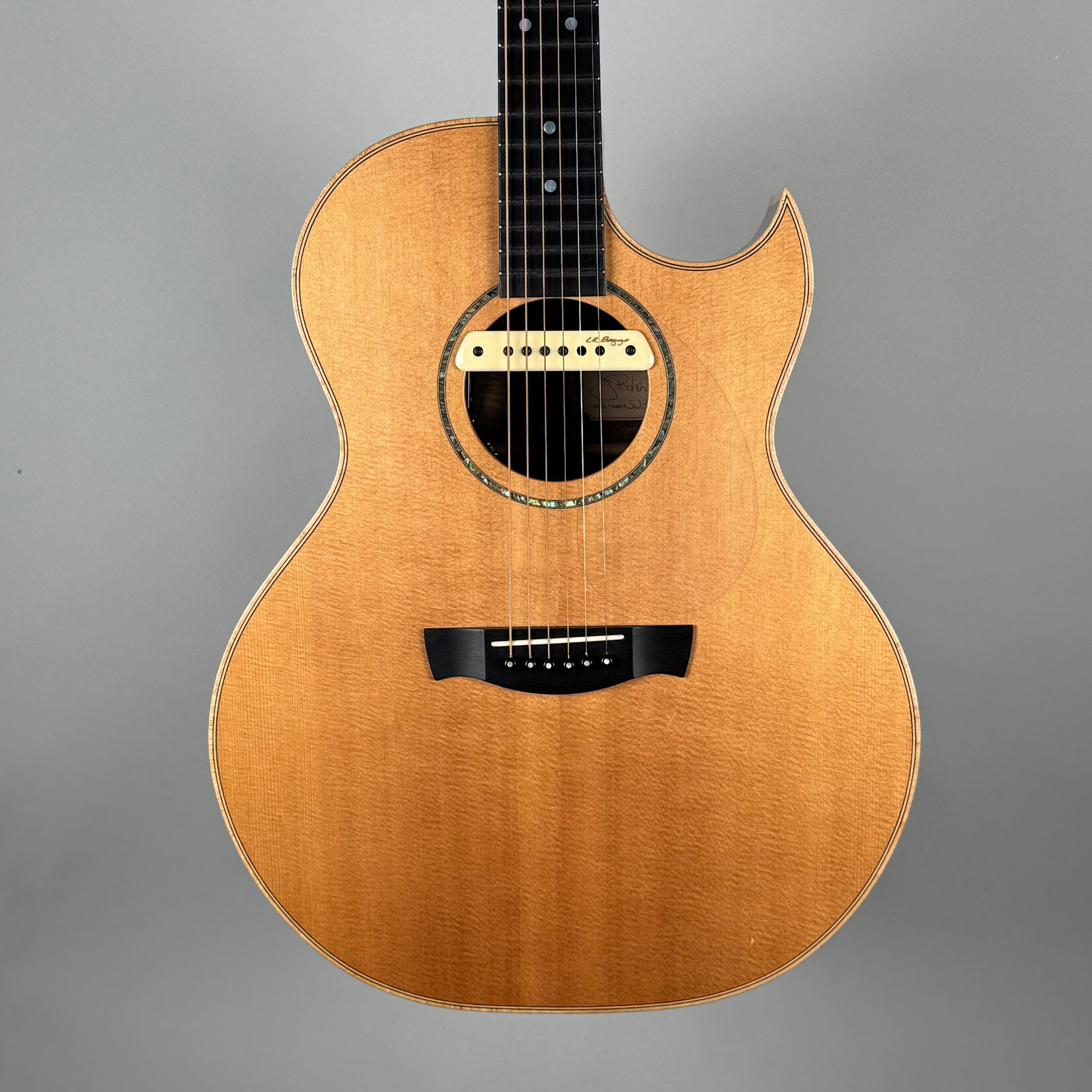 Robertson SJ-CZOW W/ L.R. Baggs Pickup