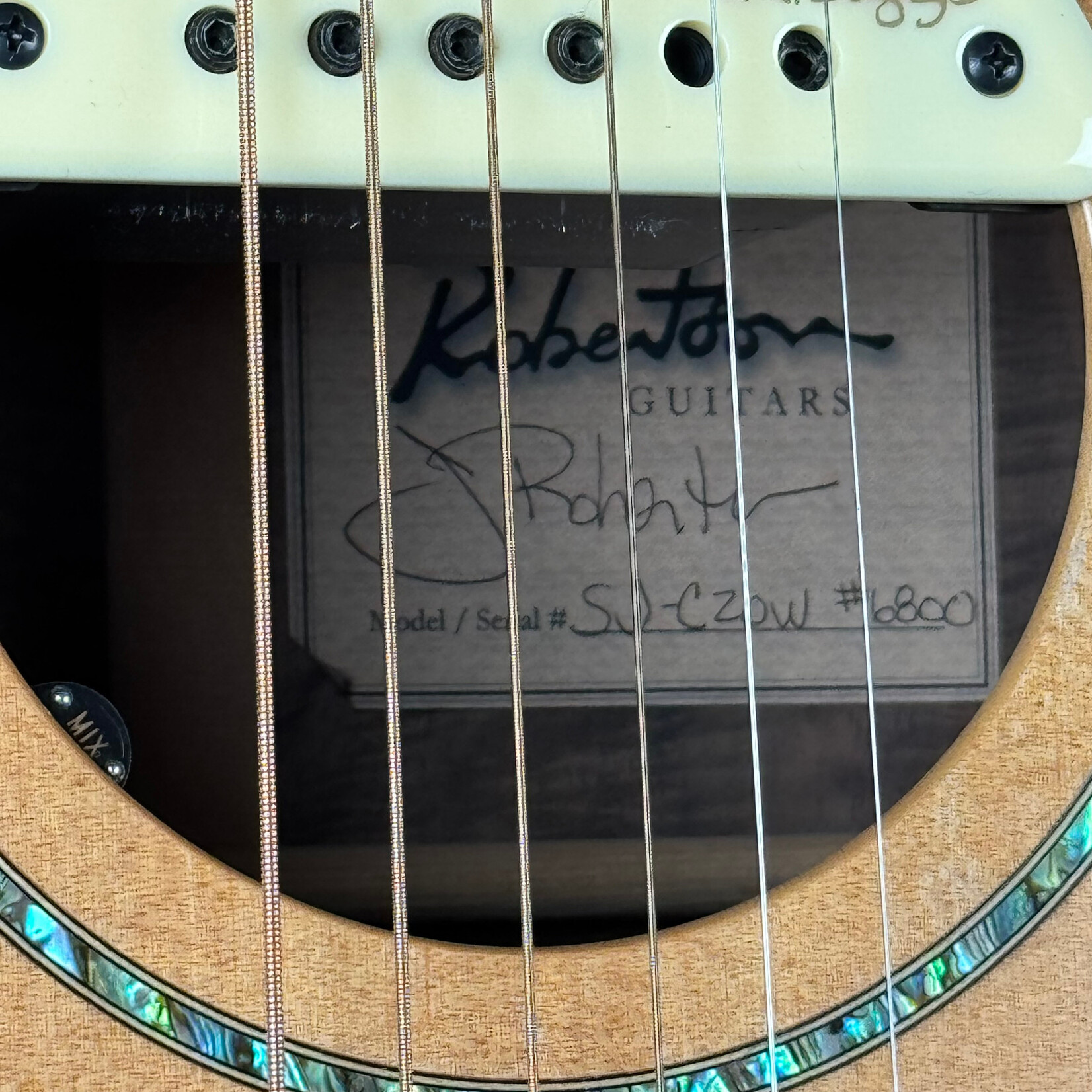 Robertson SJ-CZOW W/ L.R. Baggs Pickup