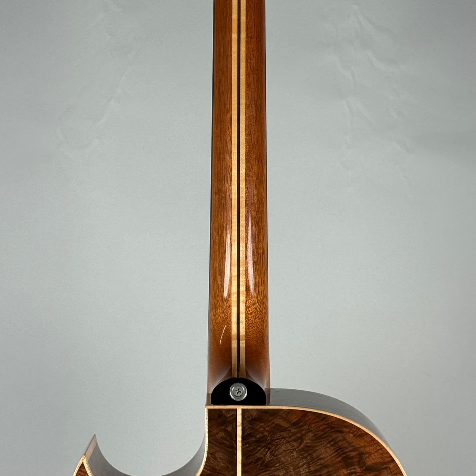 Robertson SJ-CZOW W/ L.R. Baggs Pickup