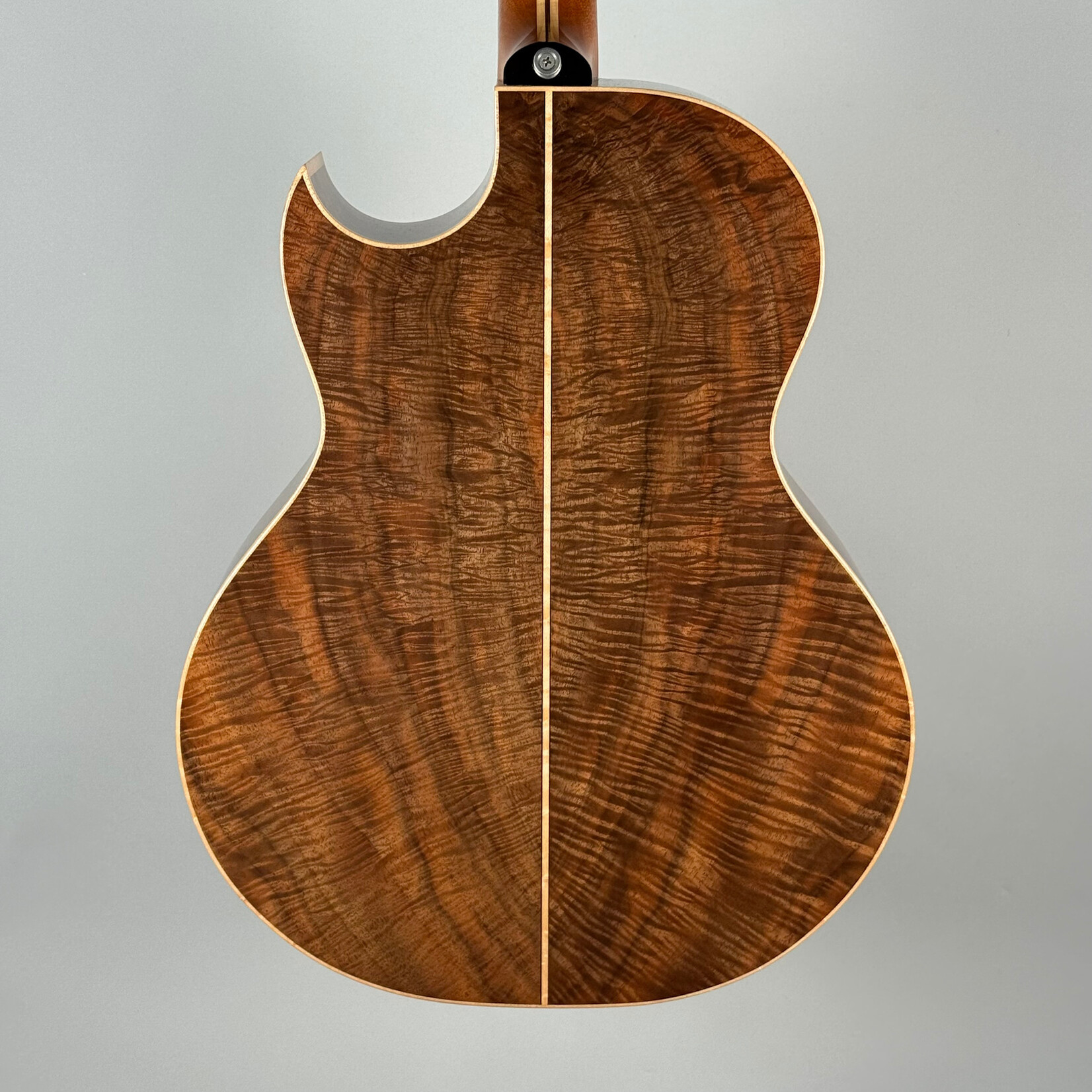 Robertson SJ-CZOW W/ L.R. Baggs Pickup