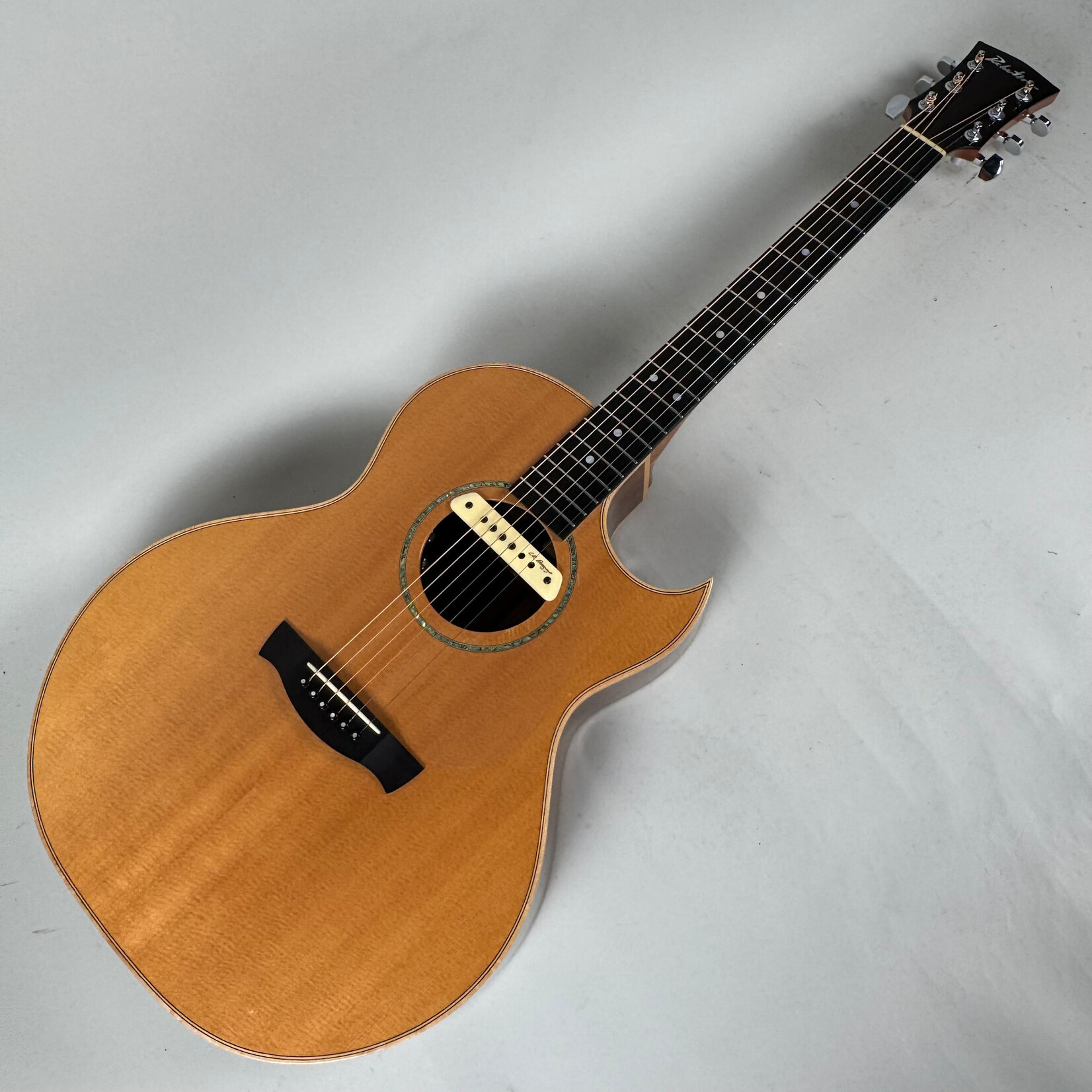 Robertson SJ-CZOW W/ L.R. Baggs Pickup