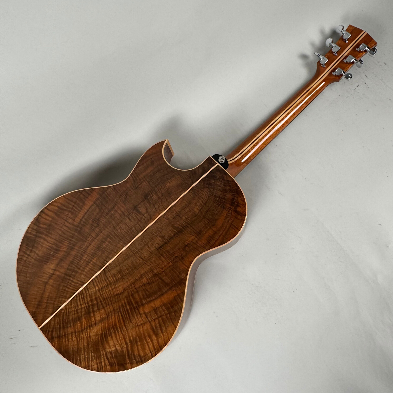 Robertson SJ-CZOW W/ L.R. Baggs Pickup