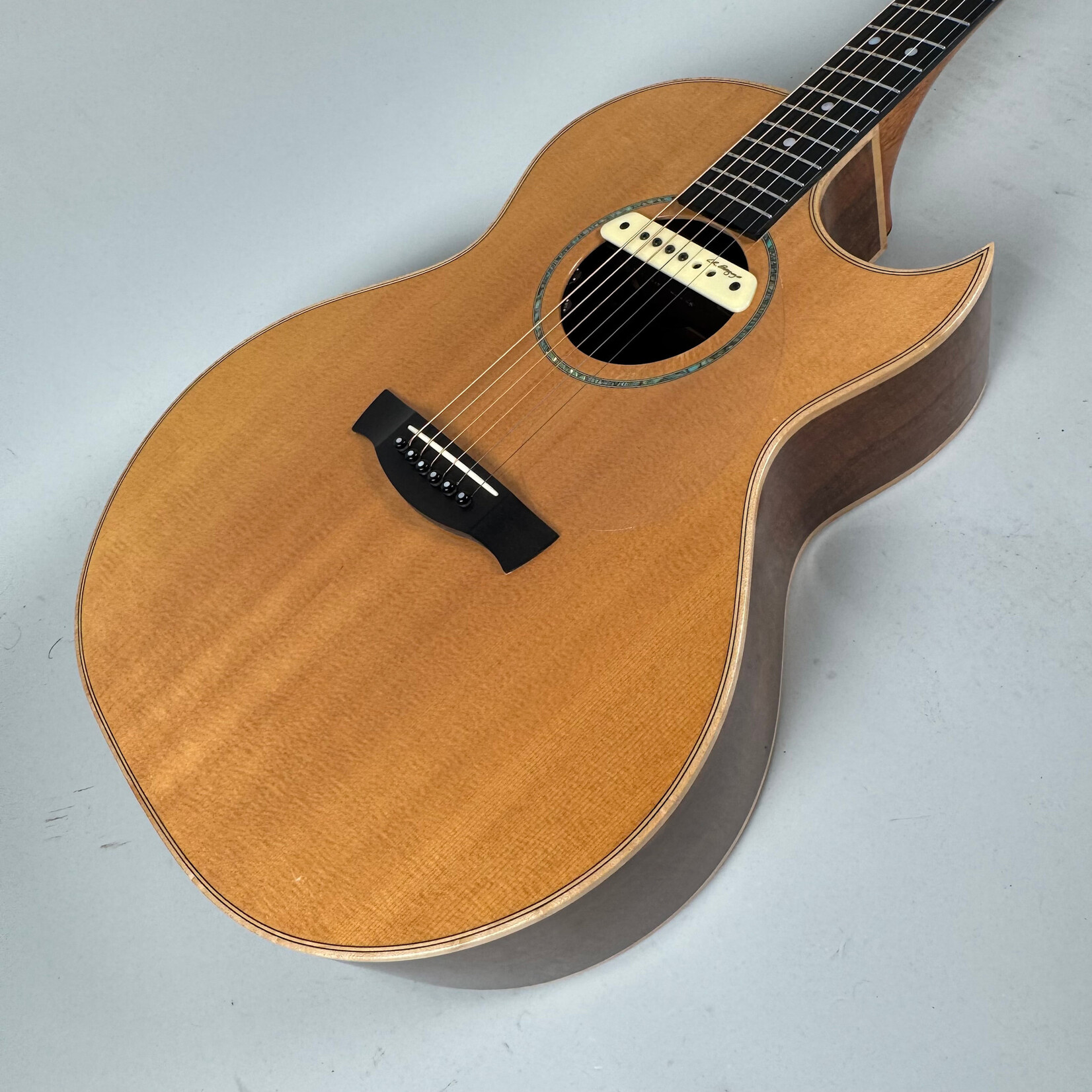 Robertson SJ-CZOW W/ L.R. Baggs Pickup