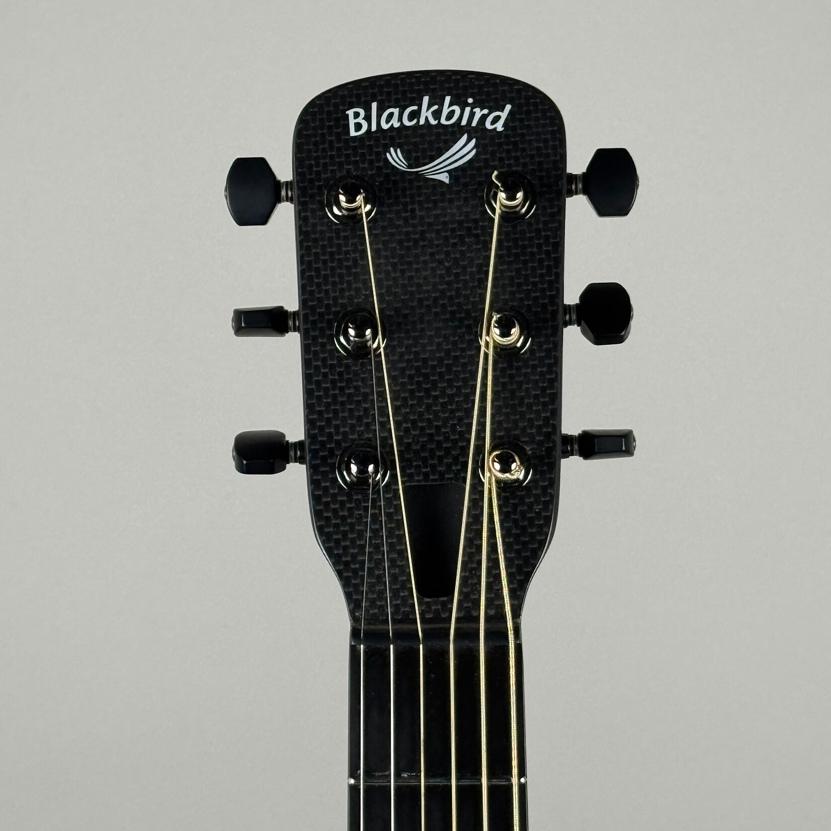 Blackbird Blackbird Lucky 13 Carbon Fiber Guitar Lefty