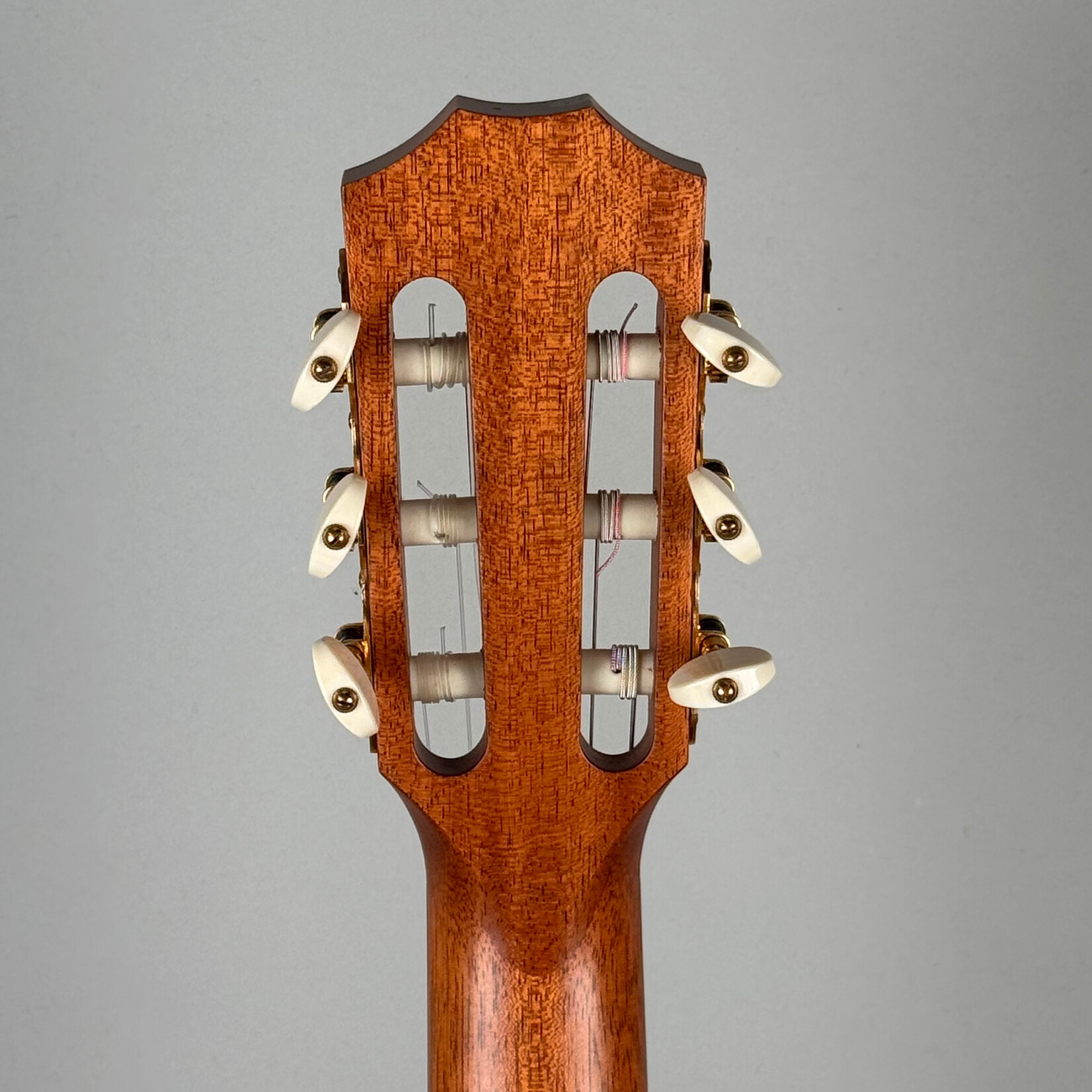 Taylor 2008 Taylor NS34ce
