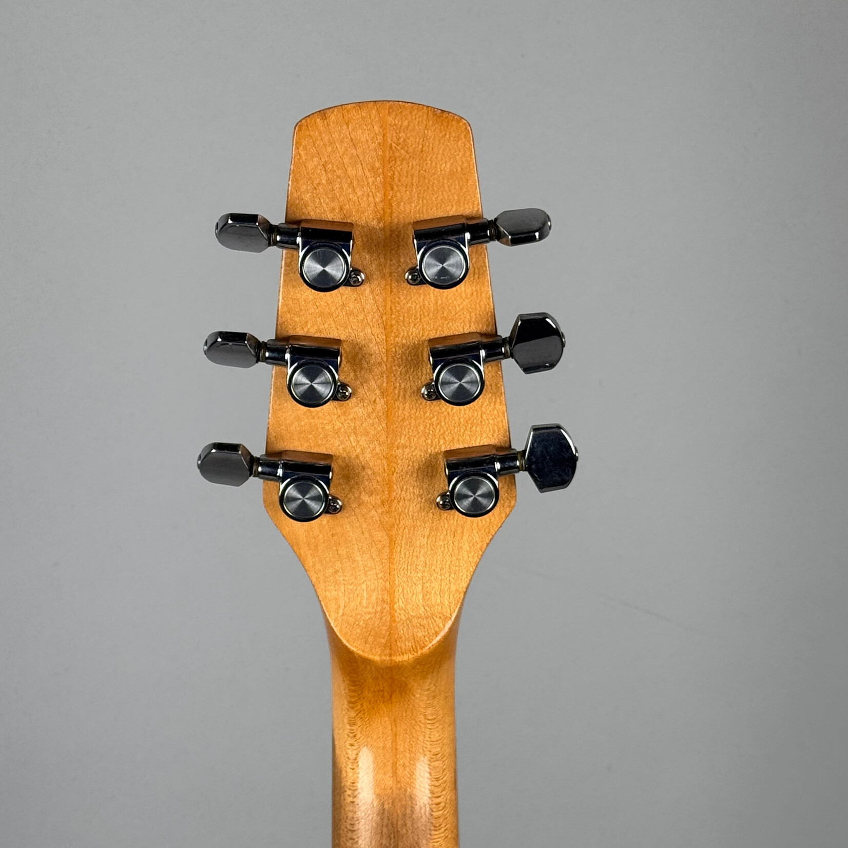 Gretsch 1970's Gretsch BST-1000 (Plugged PG Hole)