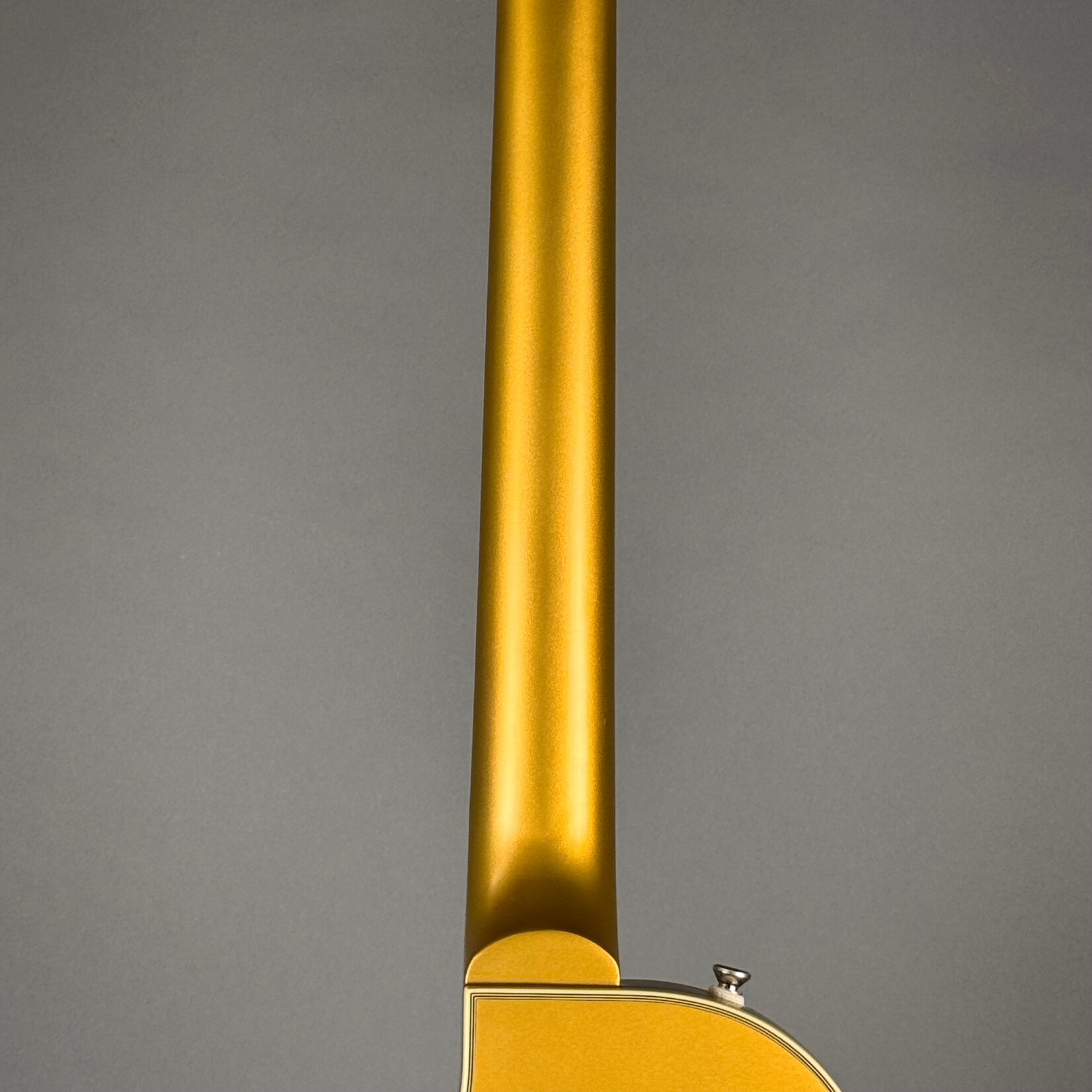 Epiphone Epiphone Jared James Nichols Blues Power Gold Glory Les Paul