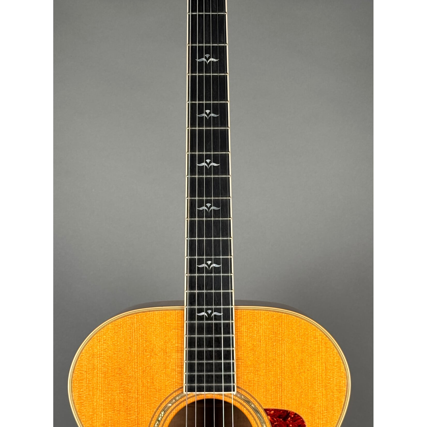 Taylor 1994 Taylor 615 W/ Added Electronics