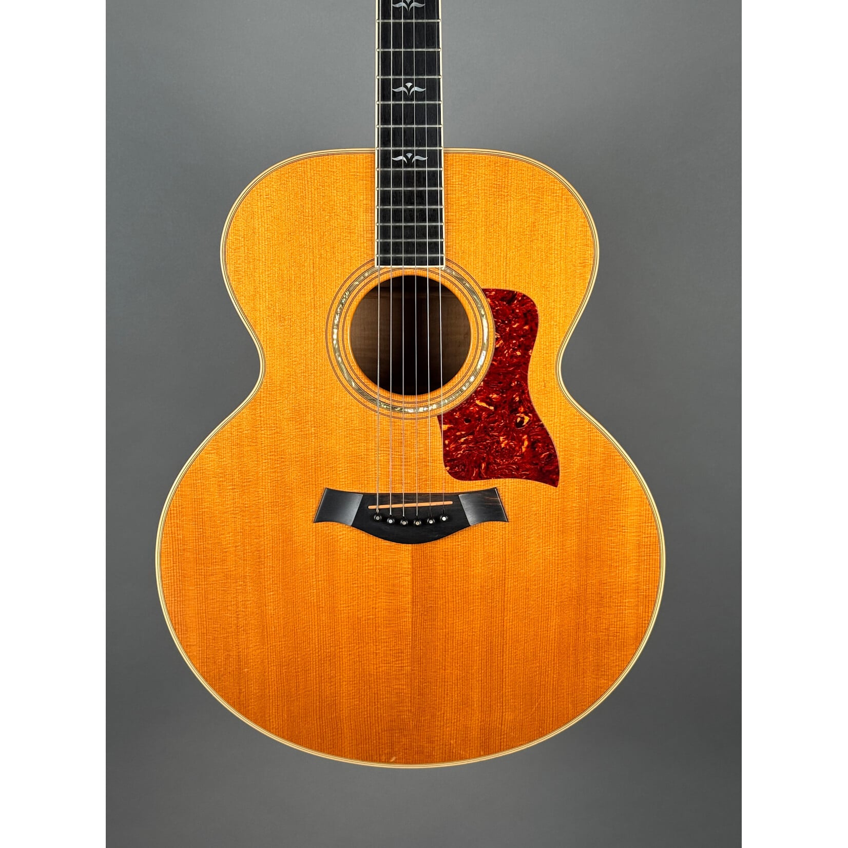 Taylor 1994 Taylor 615 W/ Added Electronics