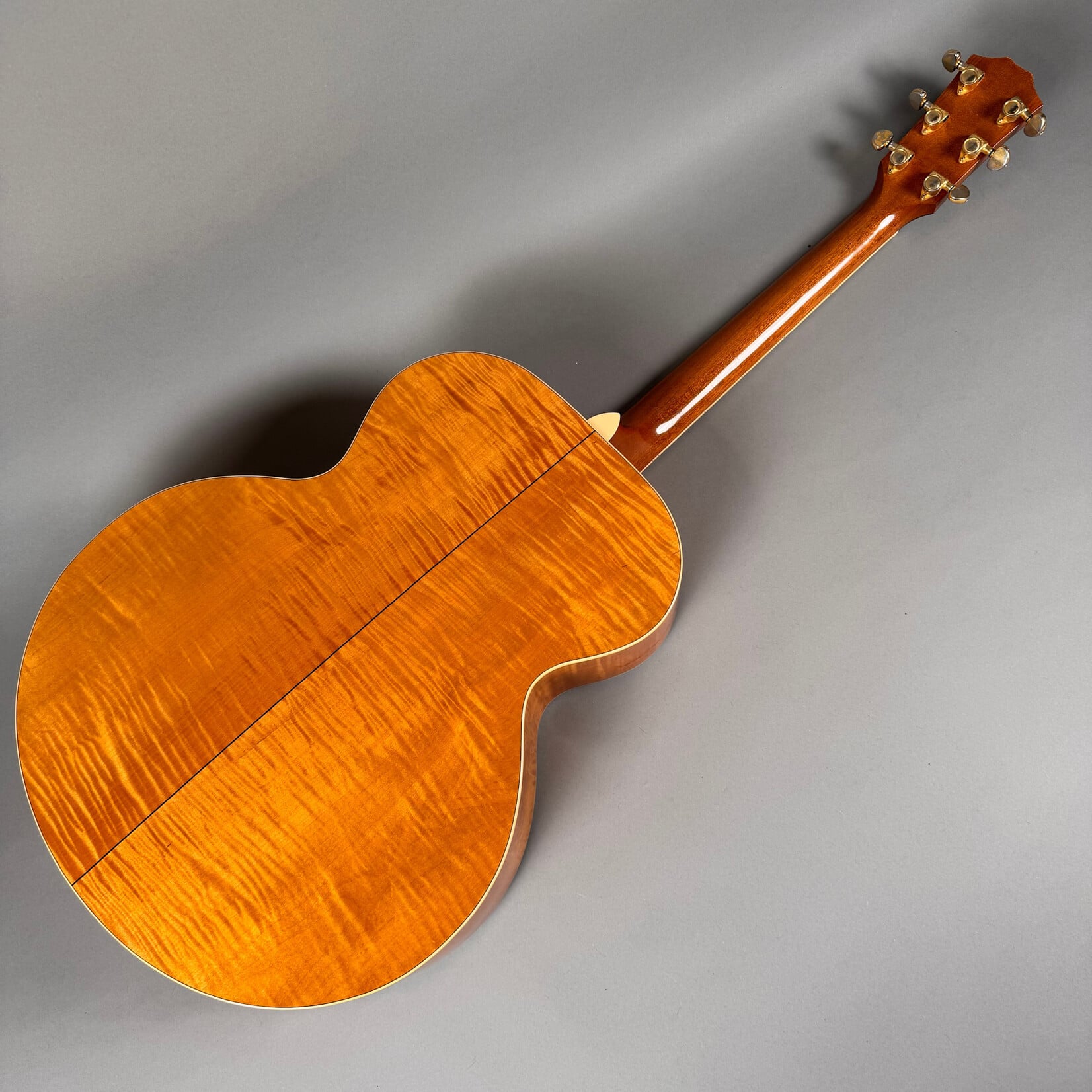 Taylor 1994 Taylor 615 W/ Added Electronics