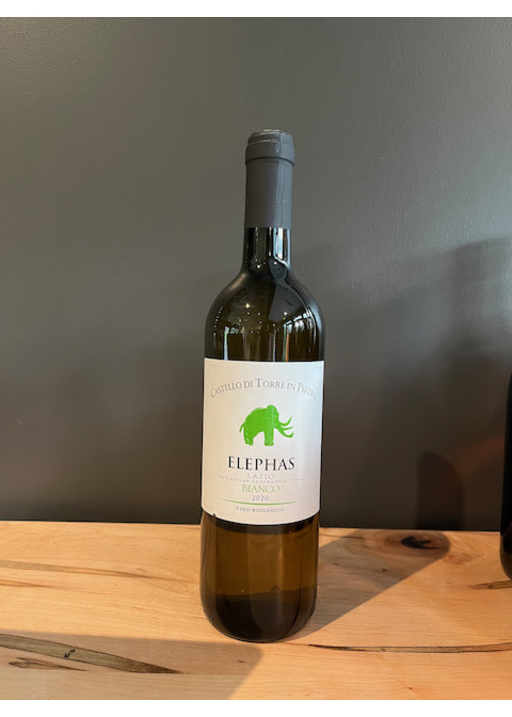 Piedmont Wine Imports Castello di Torre in Pietra - Elephas Bianco 2021