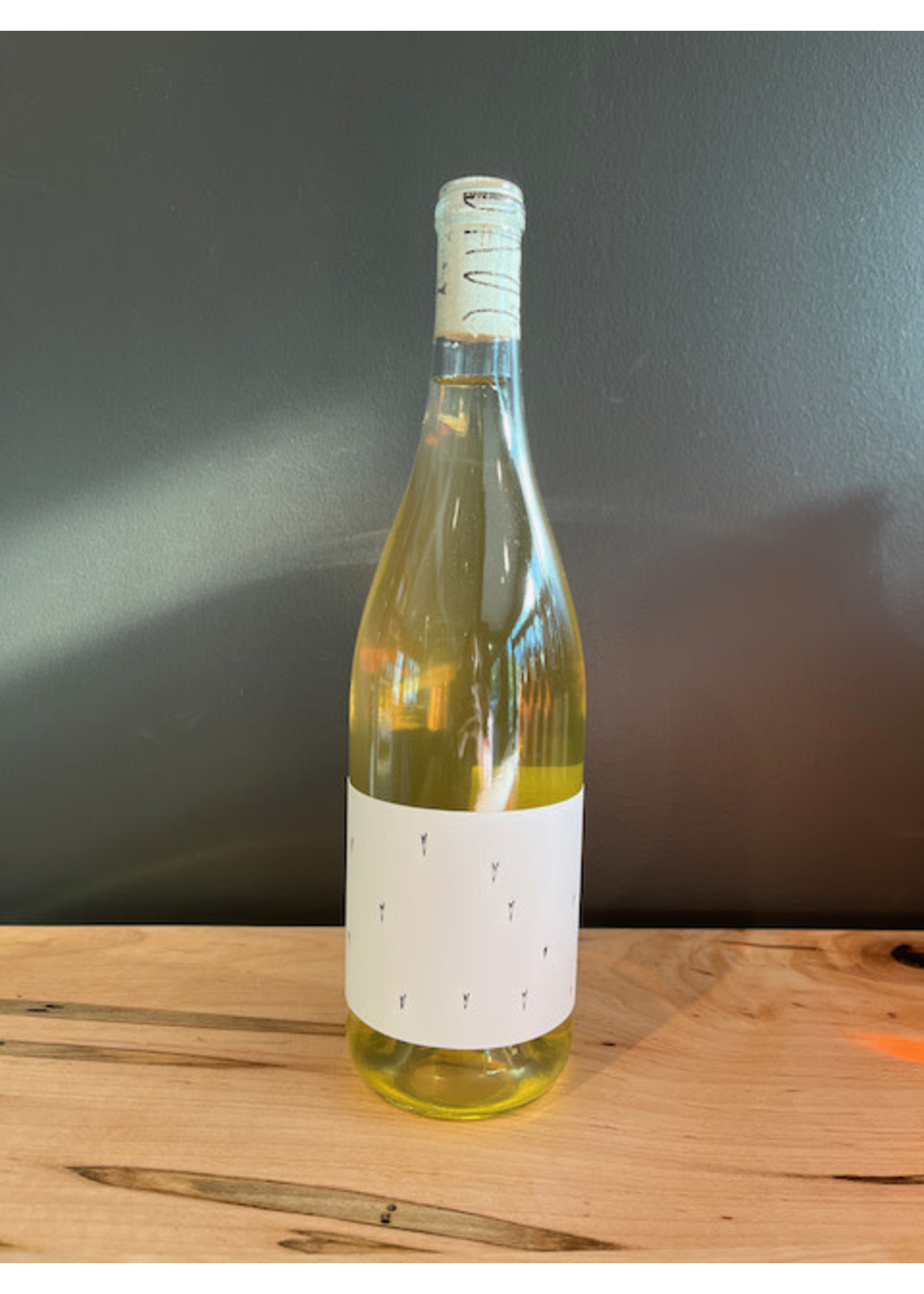 Broc - Love White 2024