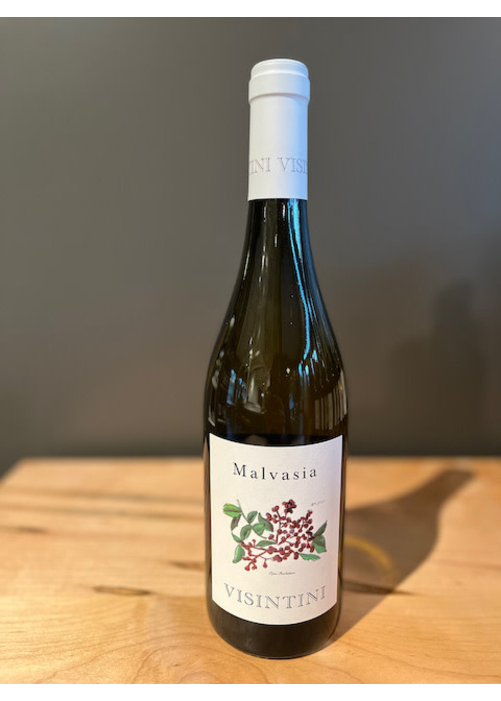 Piedmont Wine Imports Visintini - Malvasia 2021
