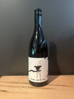 Shelter - “Lovely Lilly” Pinot Noir  2024