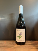 Piedmont Wine Imports Visintini - Franconia 2019