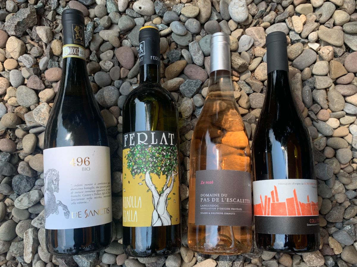 Tuesday Tasting || New German wine arrivals