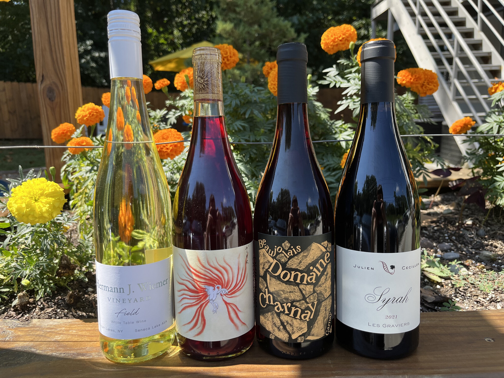 Wednesday Wine Tasting with Kellogg || Upcoming Australian Wine Book Launch and Tasting