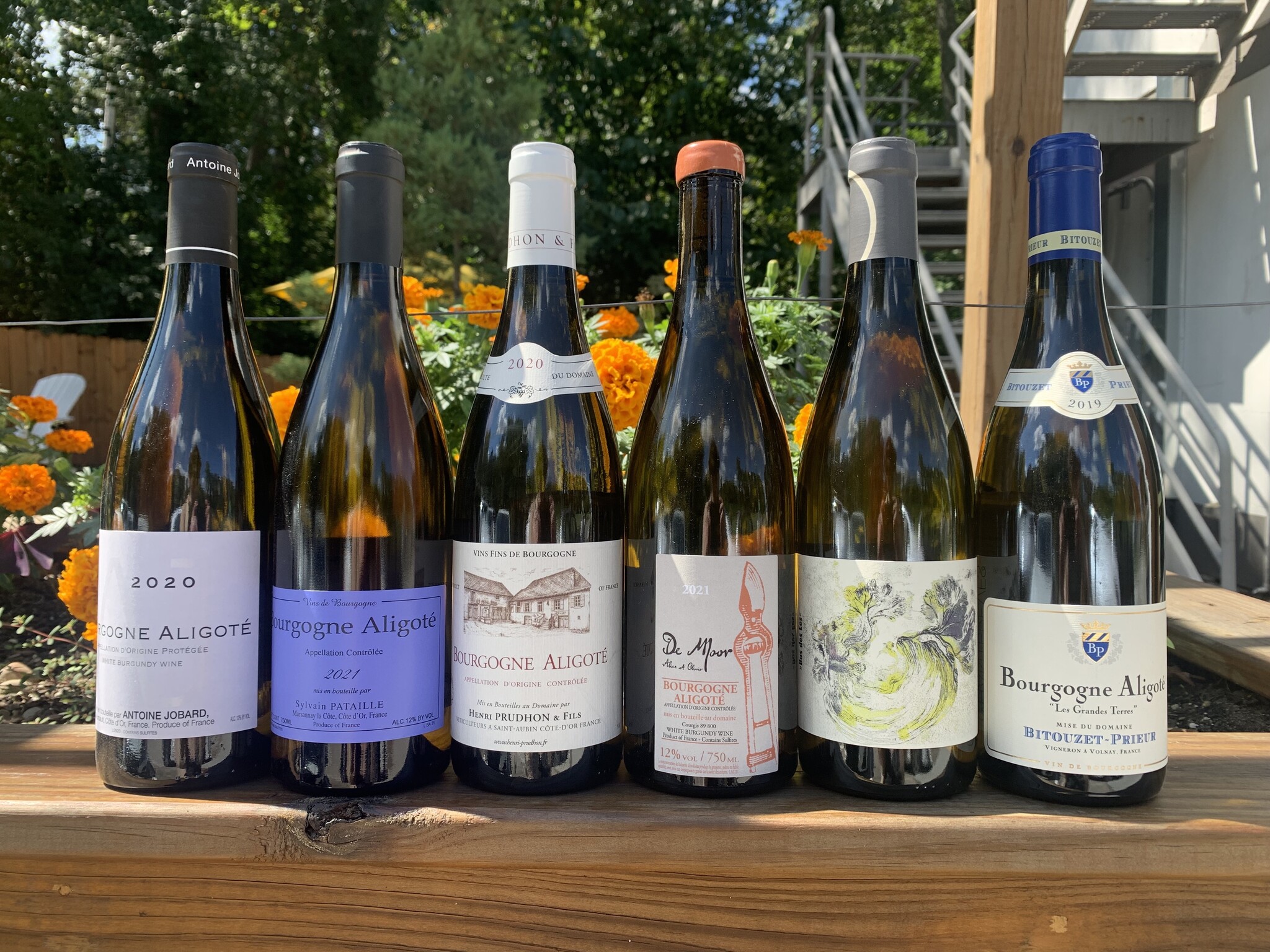 Featured Limited Aligoté Selections || Tasting with Rise Over Run Wines from the French Alps and Jura