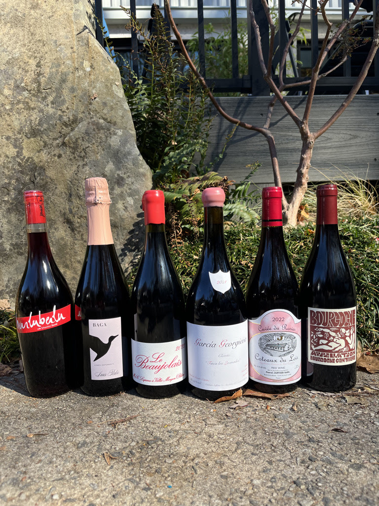 Thanksgiving wines || Upcoming Wine Tastings