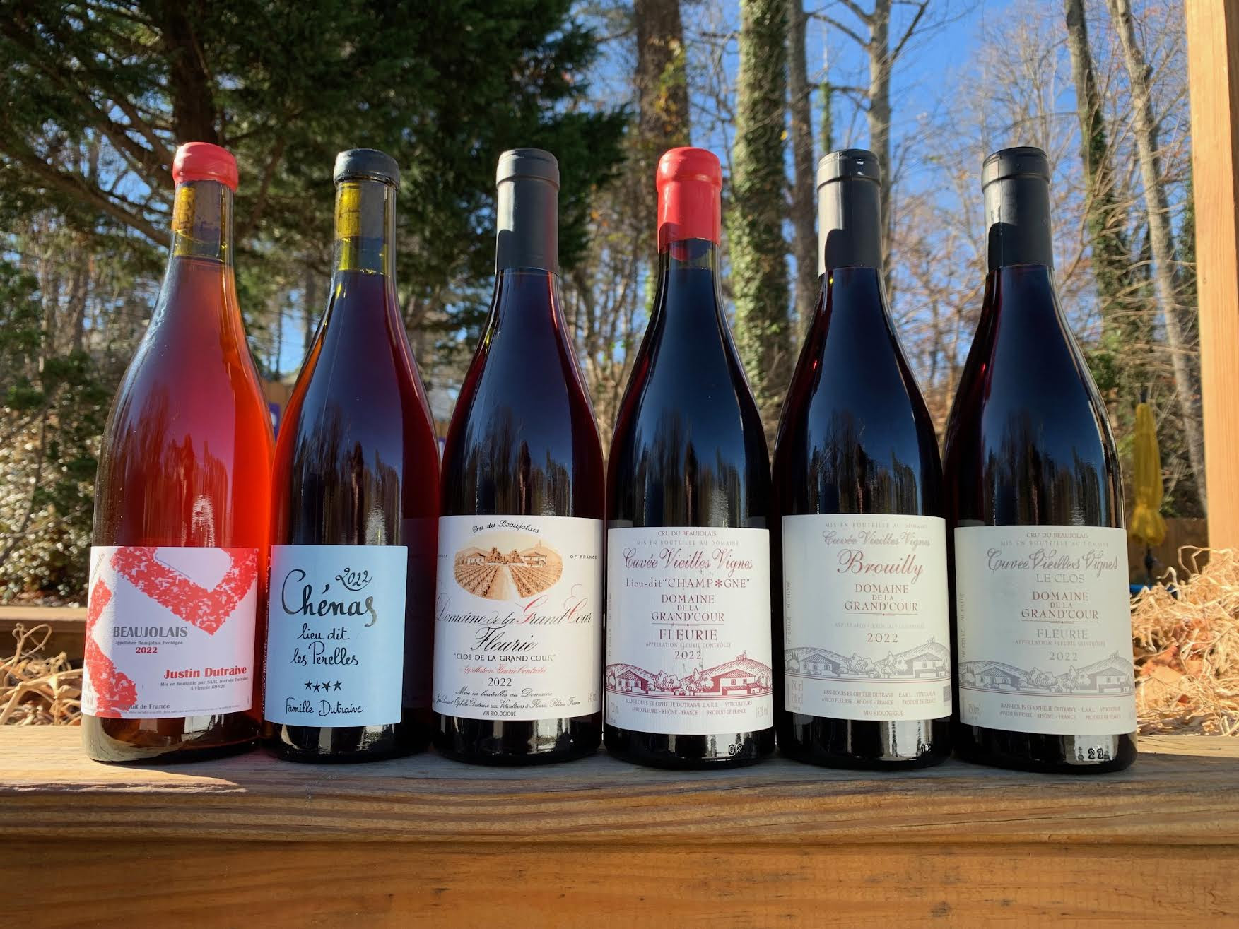 Vajra Barolo Tasting Dec 5 || New Arrivals from Dutraive: Beaujolais Master || Upcoming Tastings || Bar snacks