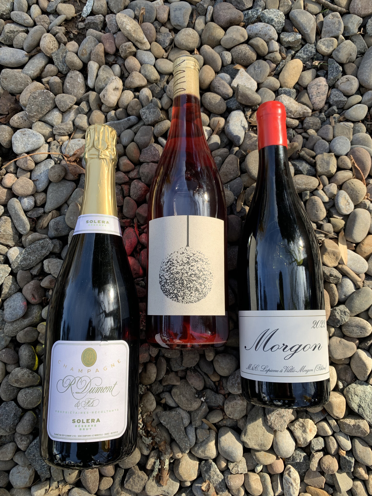 Tasting Jan 23 || Featured Glass Pours || New Arrival || Upcoming events