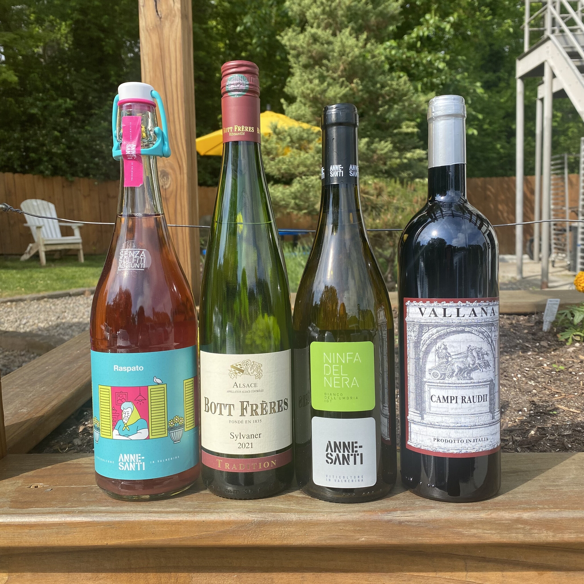 Wine Tastings || Maréchal - Featured Burgundy Producer || Winemakers, Importers, Artists