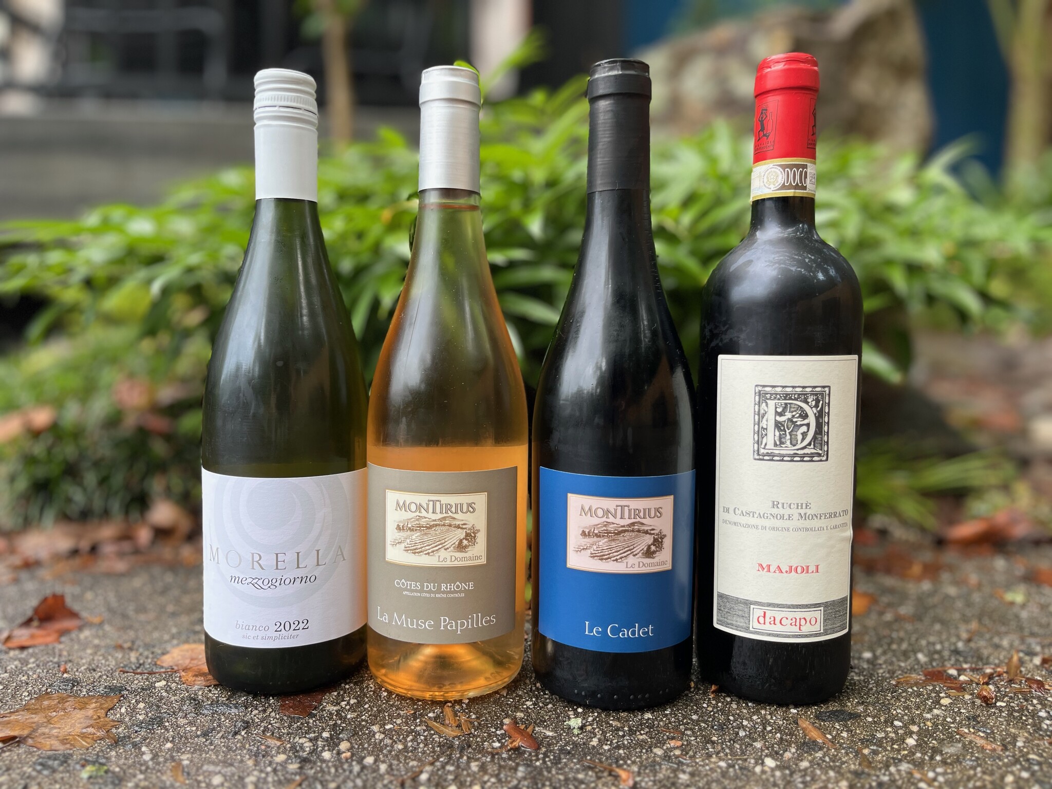 Summer Wines || Falkenstein || Tuesday Tasting
