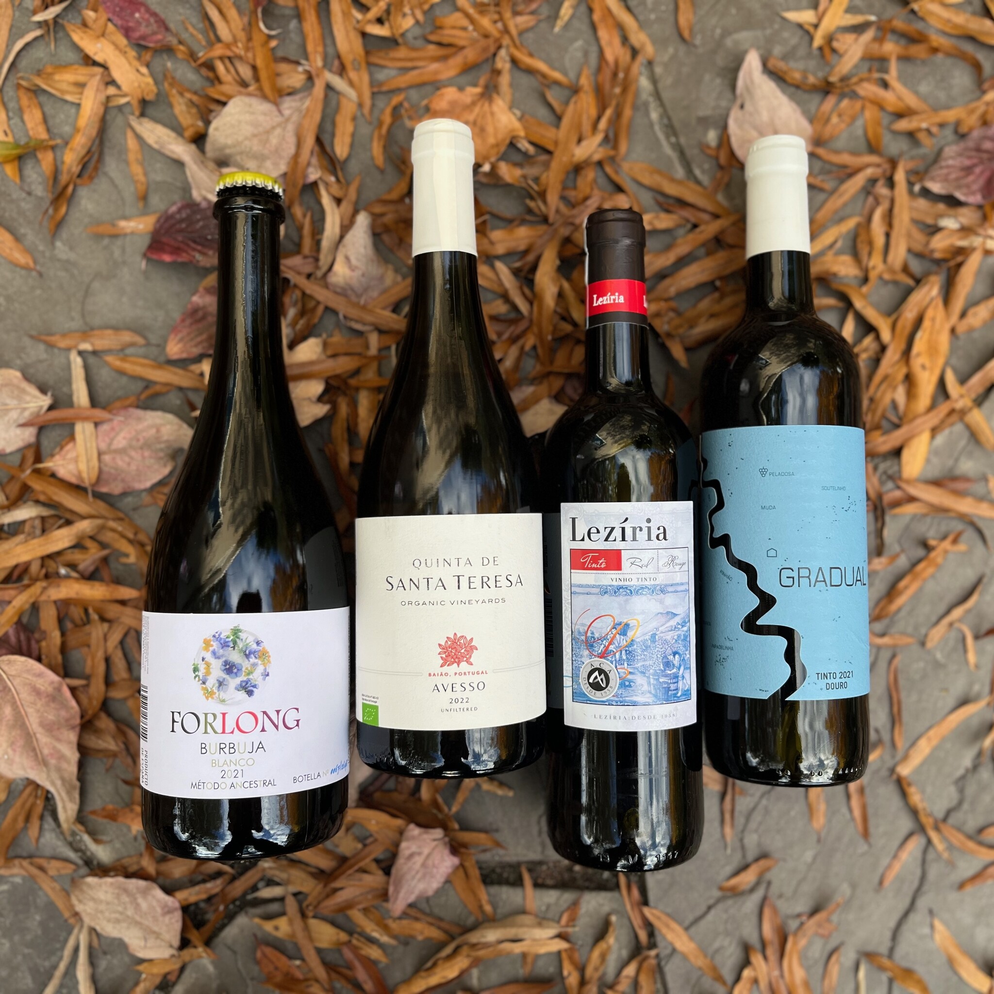 Portuguese Wine tasting | Chablis Gems | Upcoming Events
