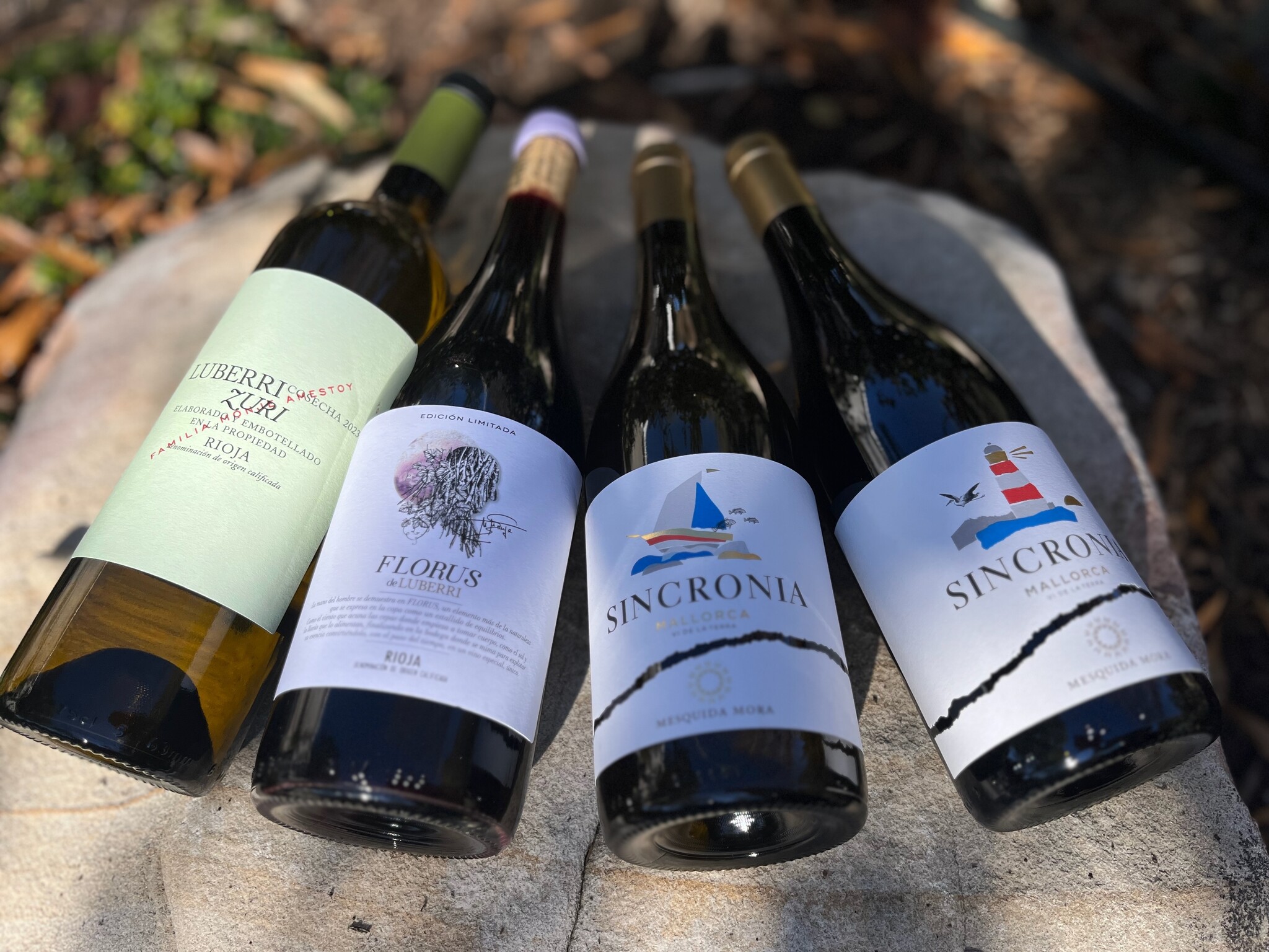 Rioja and Mallorca Wine Tasting | Lady of the Sunshine Wine Tasting | Upcoming Events