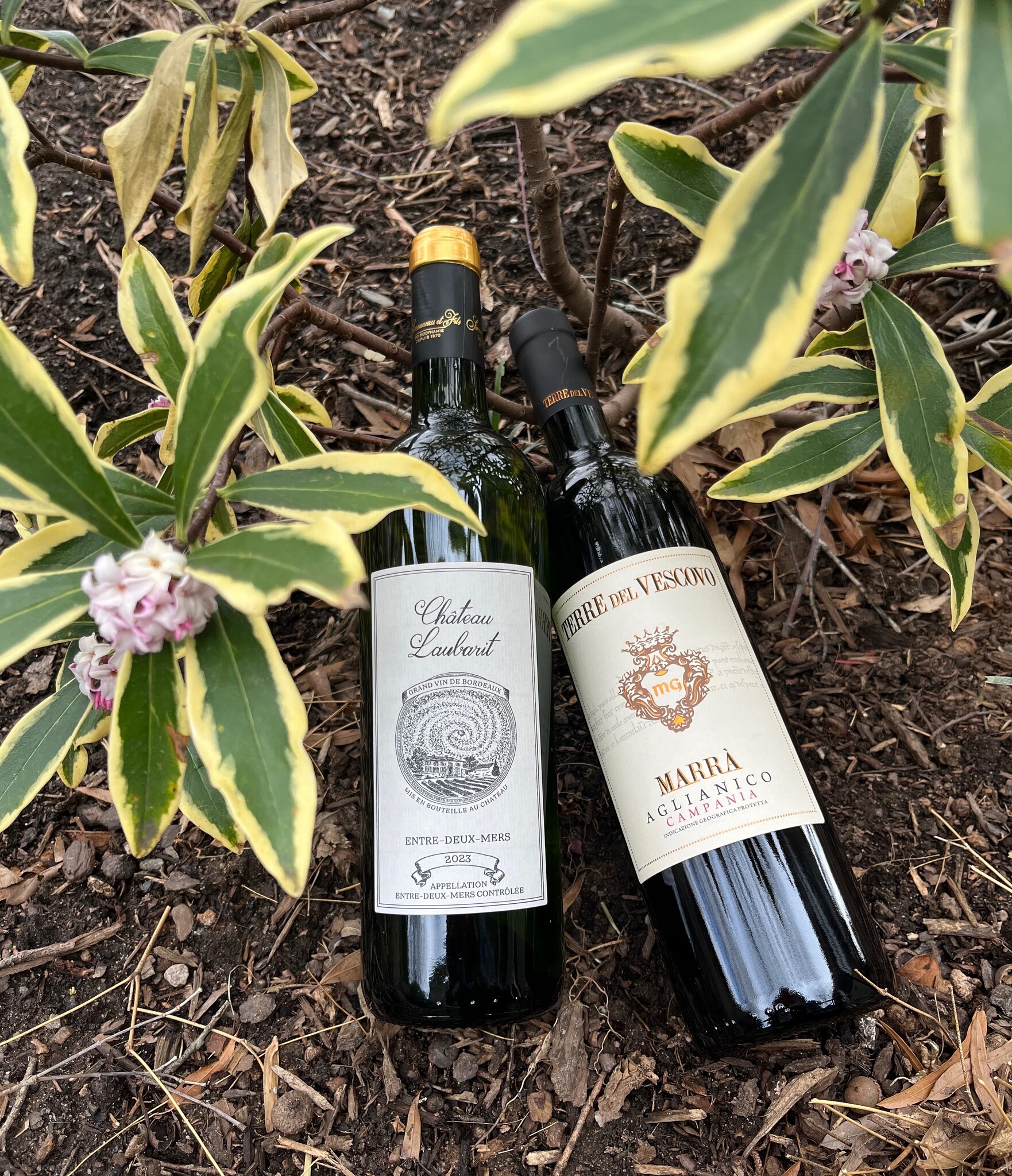 Symphony By the Glass | Italian Trattoria