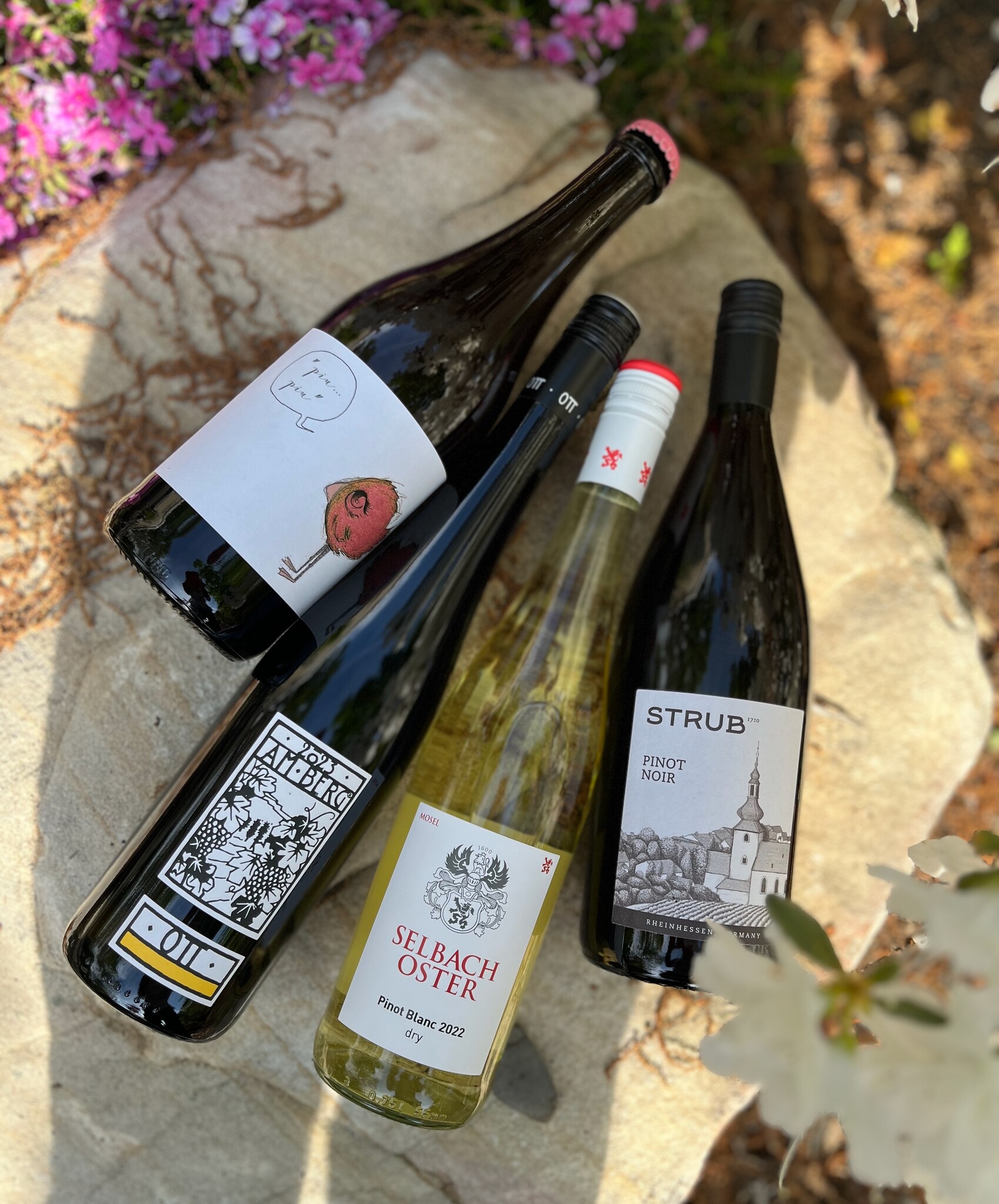 Germany / Austrian Wine Tasting April 15  || Greek Taverna Night April 16 || Upcoming Events
