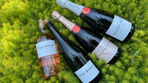 Spanish Bubbles Wine Tasting