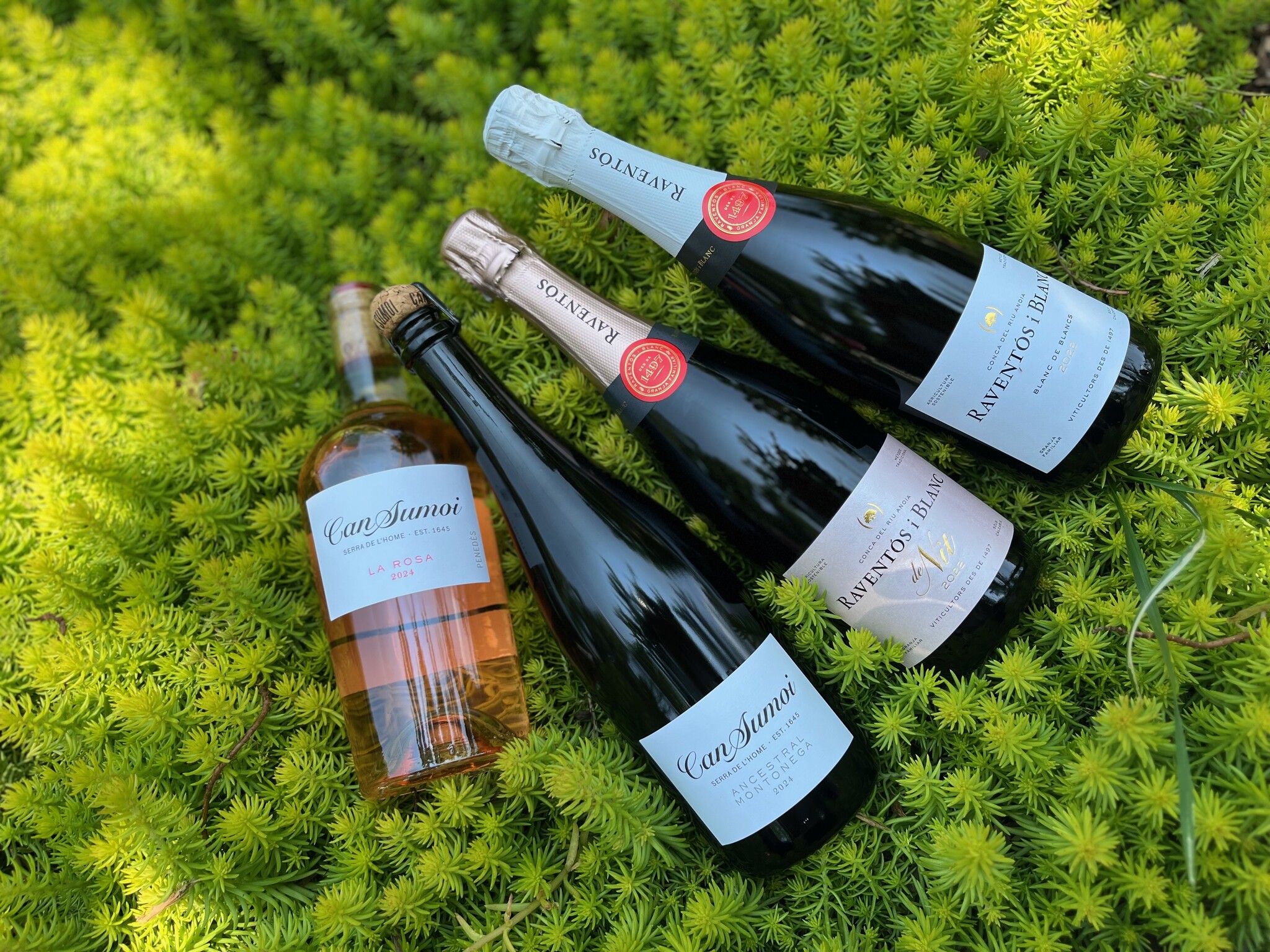 Spanish Bubbles Wine Tasting