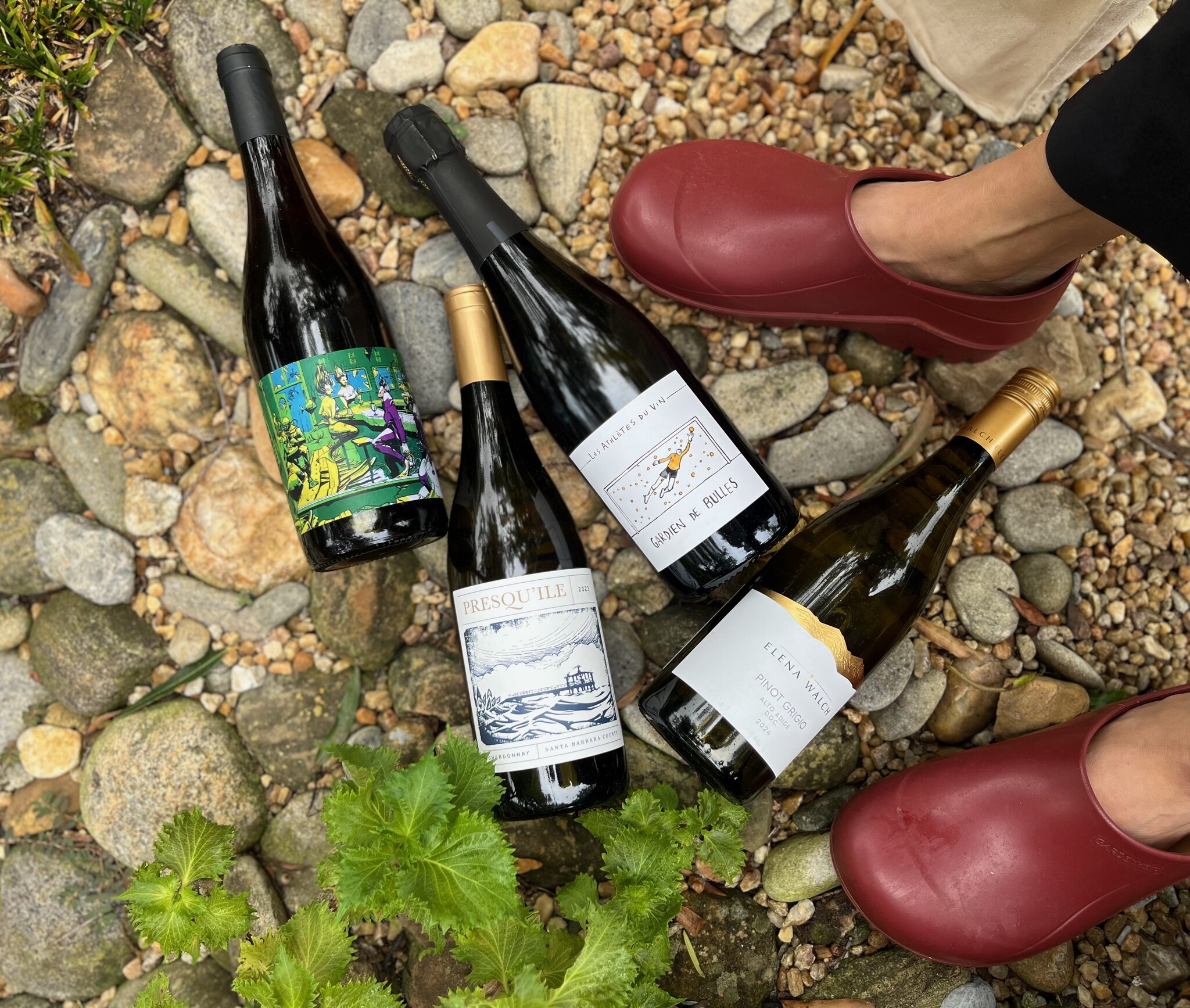 Tuesday Tasting Aug 5