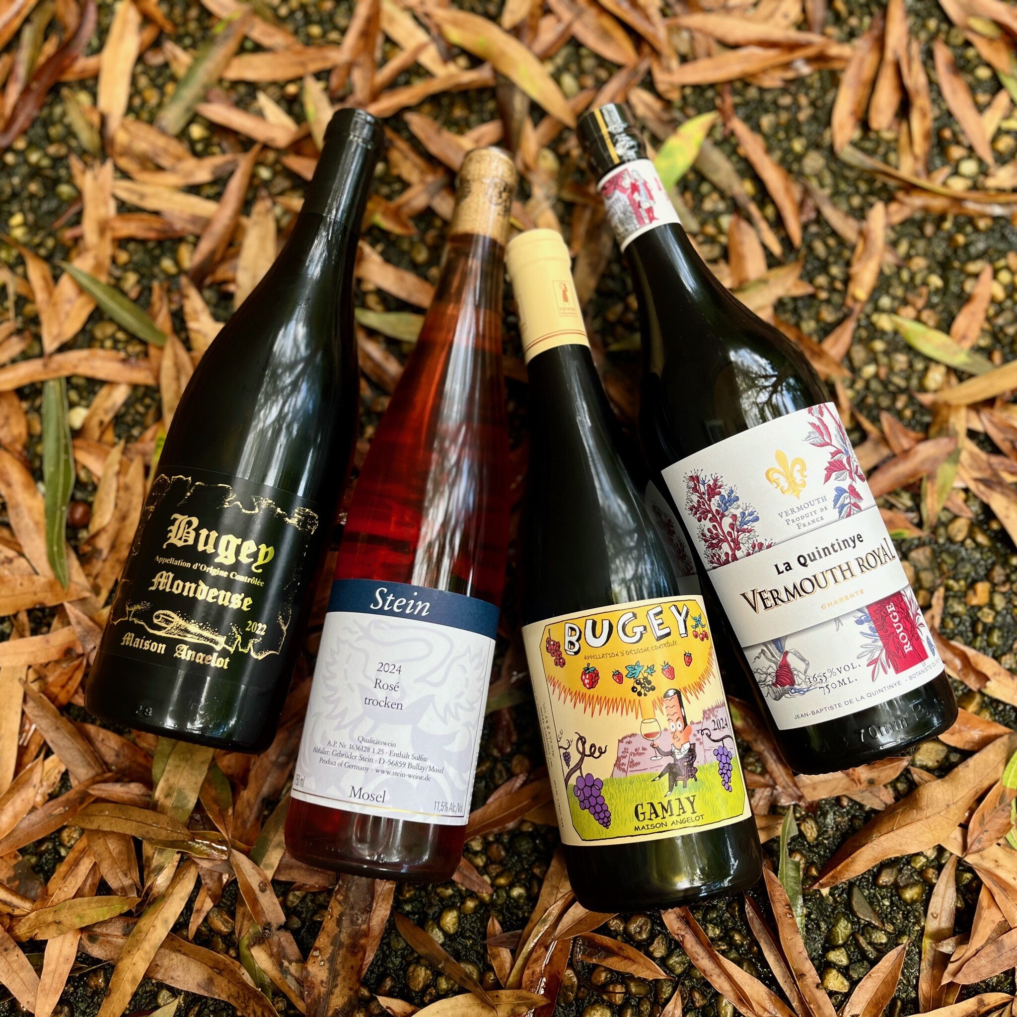 Leaf Peeping Wines Sept 30 | Italian Dinner Oct 2 | Vegetarian Dinner Oct 9